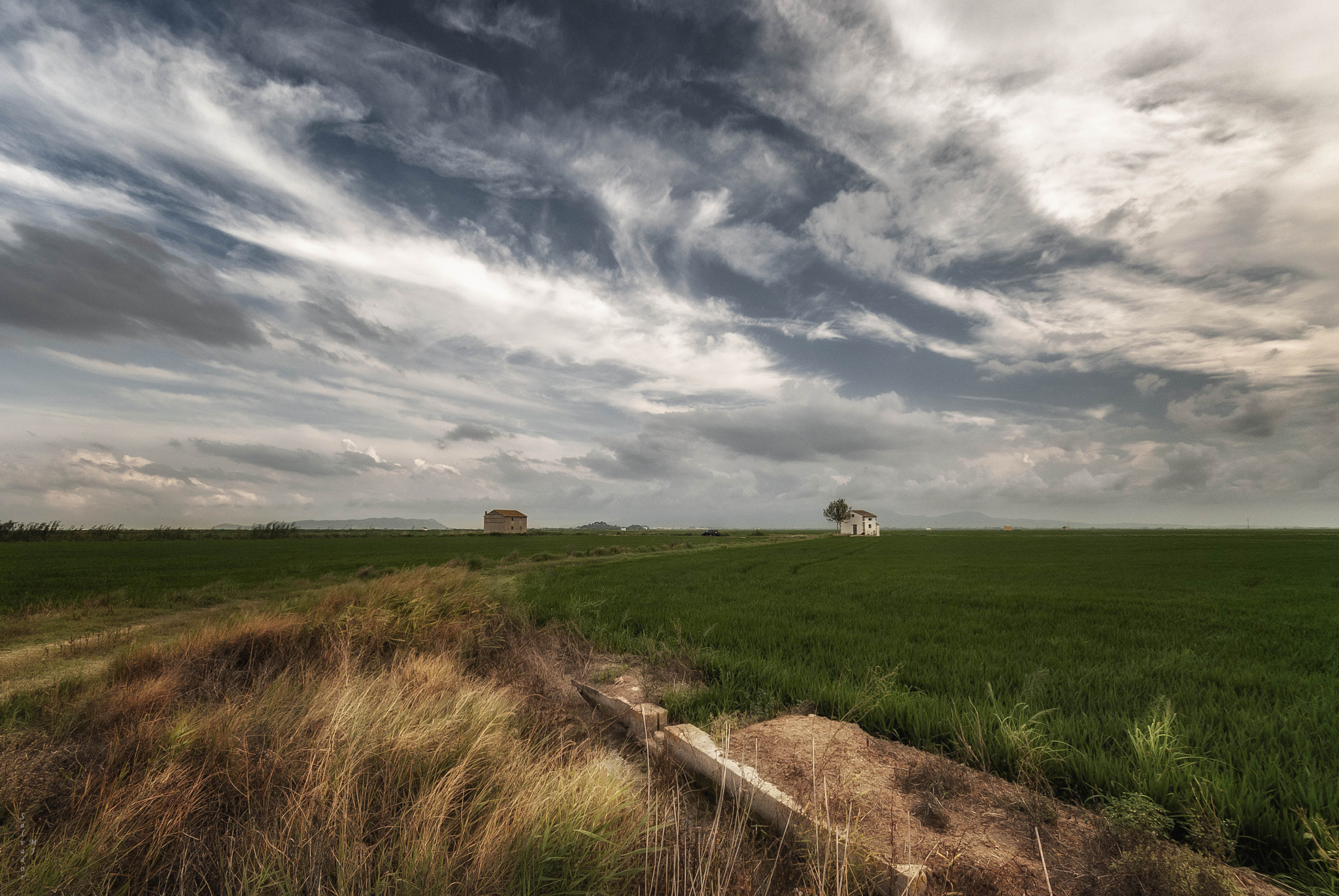 Sigma 10-20mm F4-5.6 EX DC HSM sample photo. Rice field photography