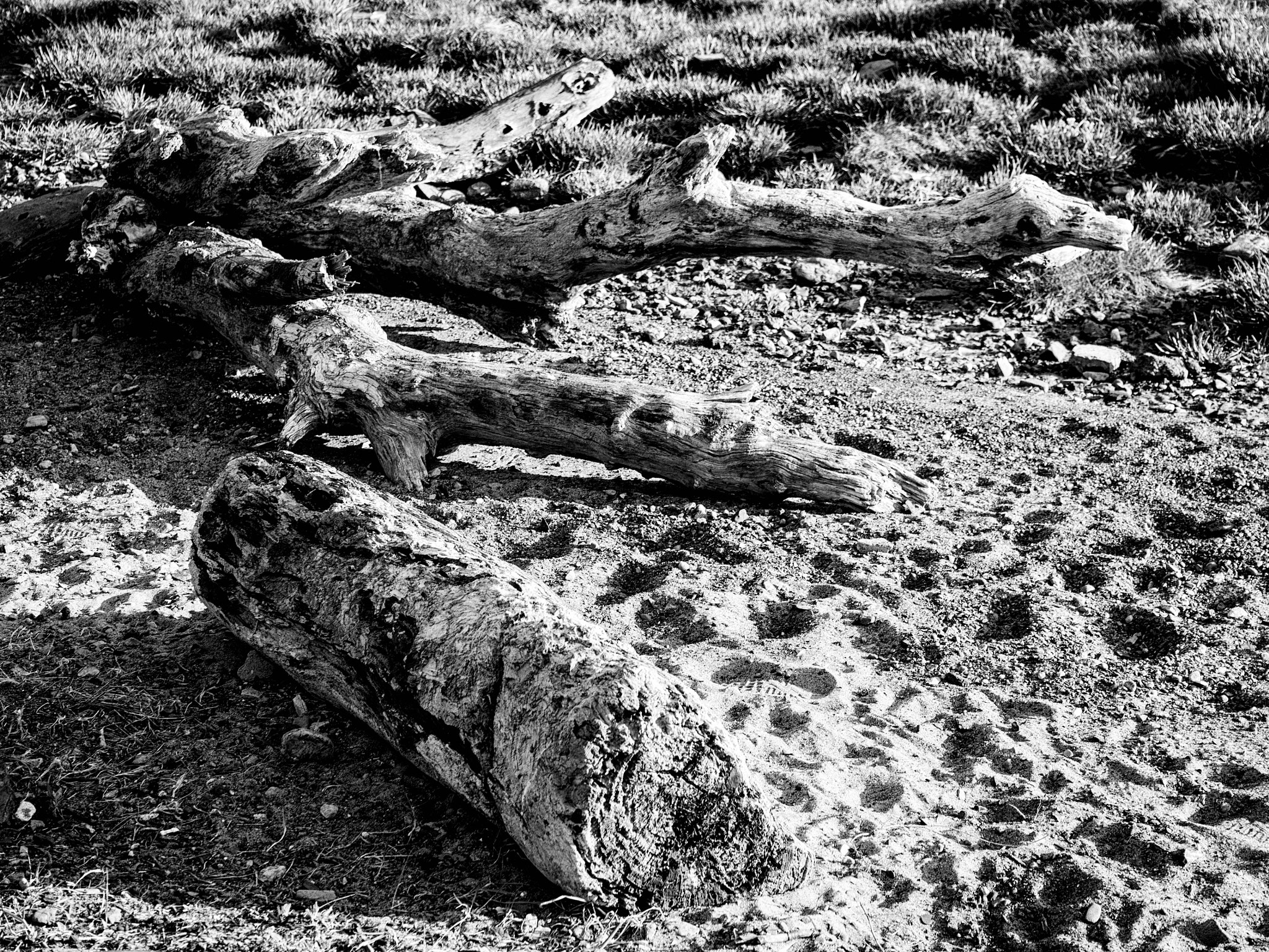 Panasonic Lumix DMC-G5 sample photo. -1605_torriburn006006-edit.jpg photography