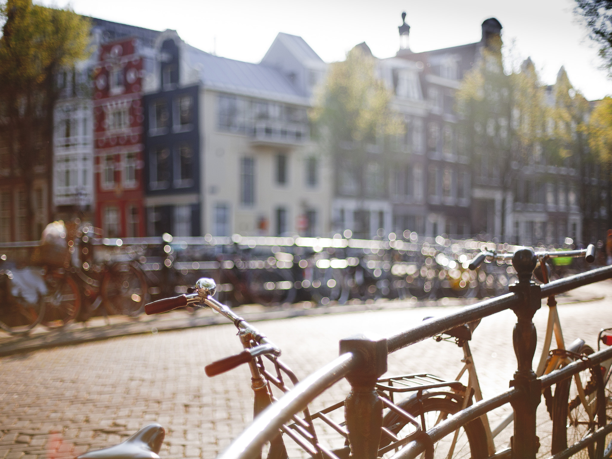 Canon EOS 5D + Canon EF 50mm F1.4 USM sample photo. Bridges of amsterdam photography