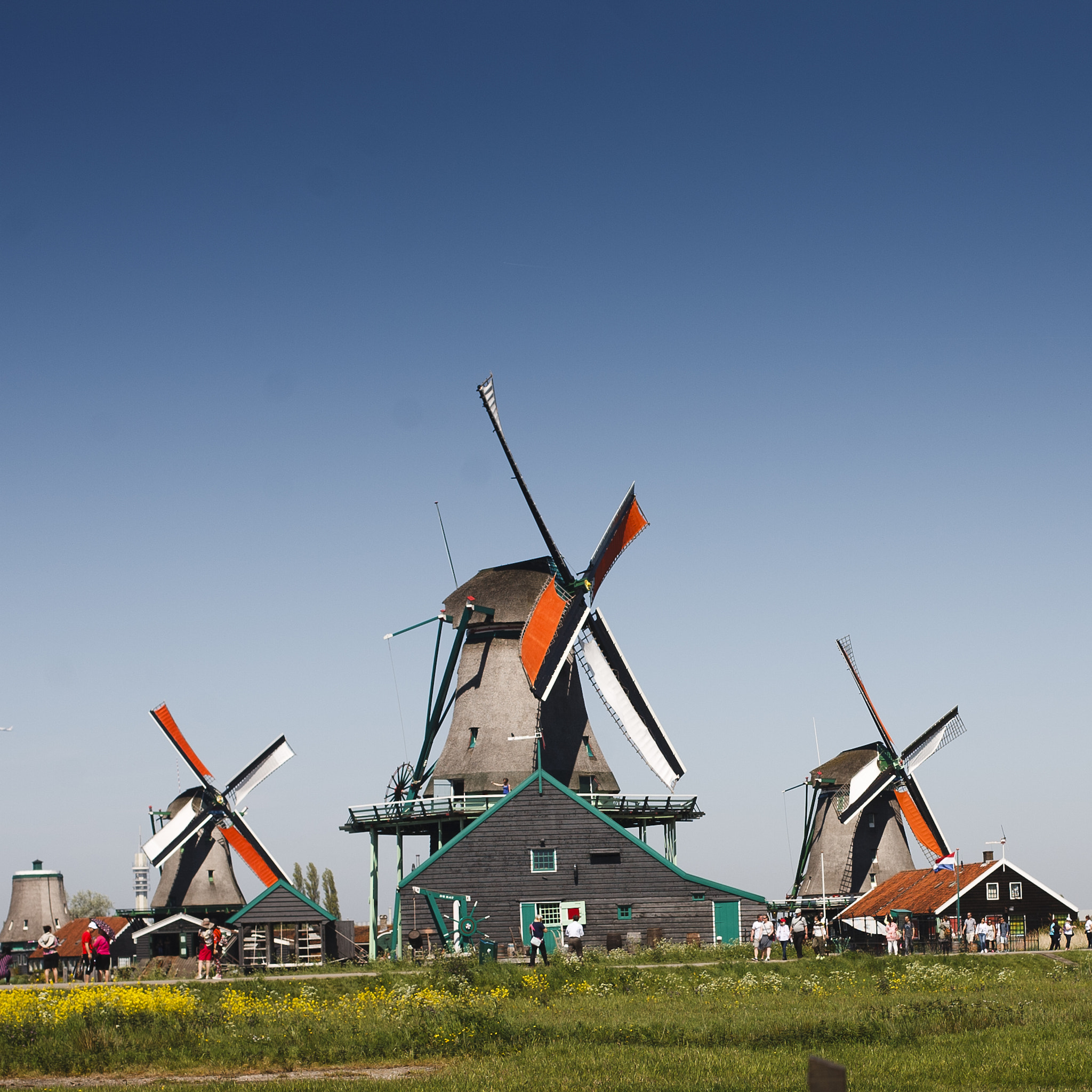 Canon EOS 5D + Canon EF 50mm F1.4 USM sample photo. Windmill village photography