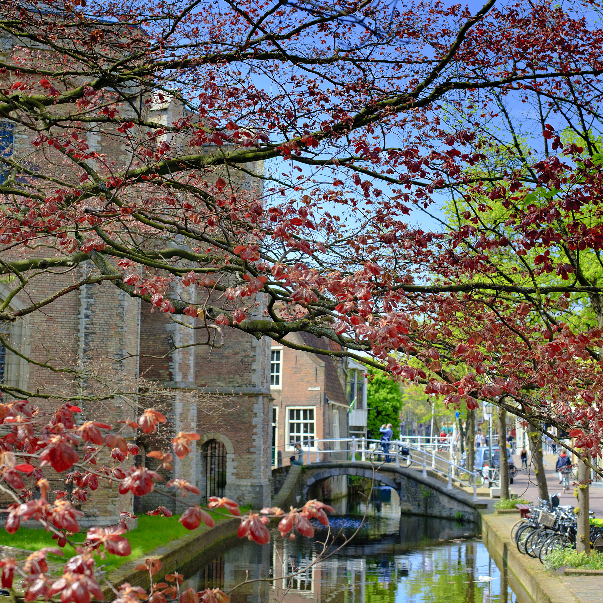 Canon EOS 5D + Canon EF 50mm F1.4 USM sample photo. Bridges of delft photography