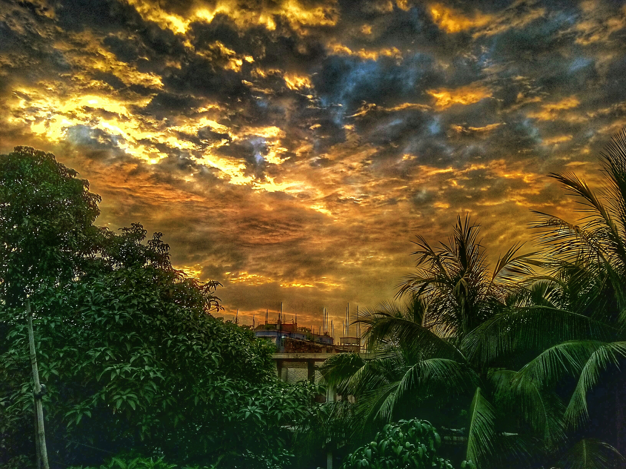 OPPO 1201 sample photo. Nature from my roof photography