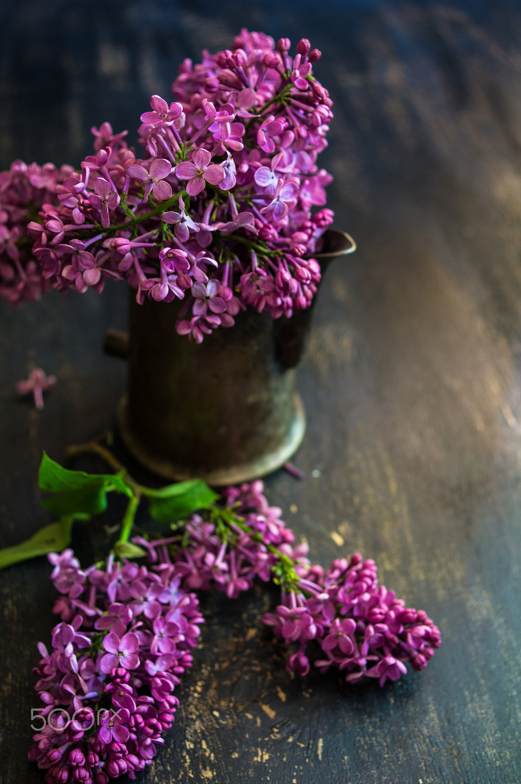 Sony SLT-A55 (SLT-A55V) + Sony DT 30mm F2.8 Macro SAM sample photo. Spring time interior photography