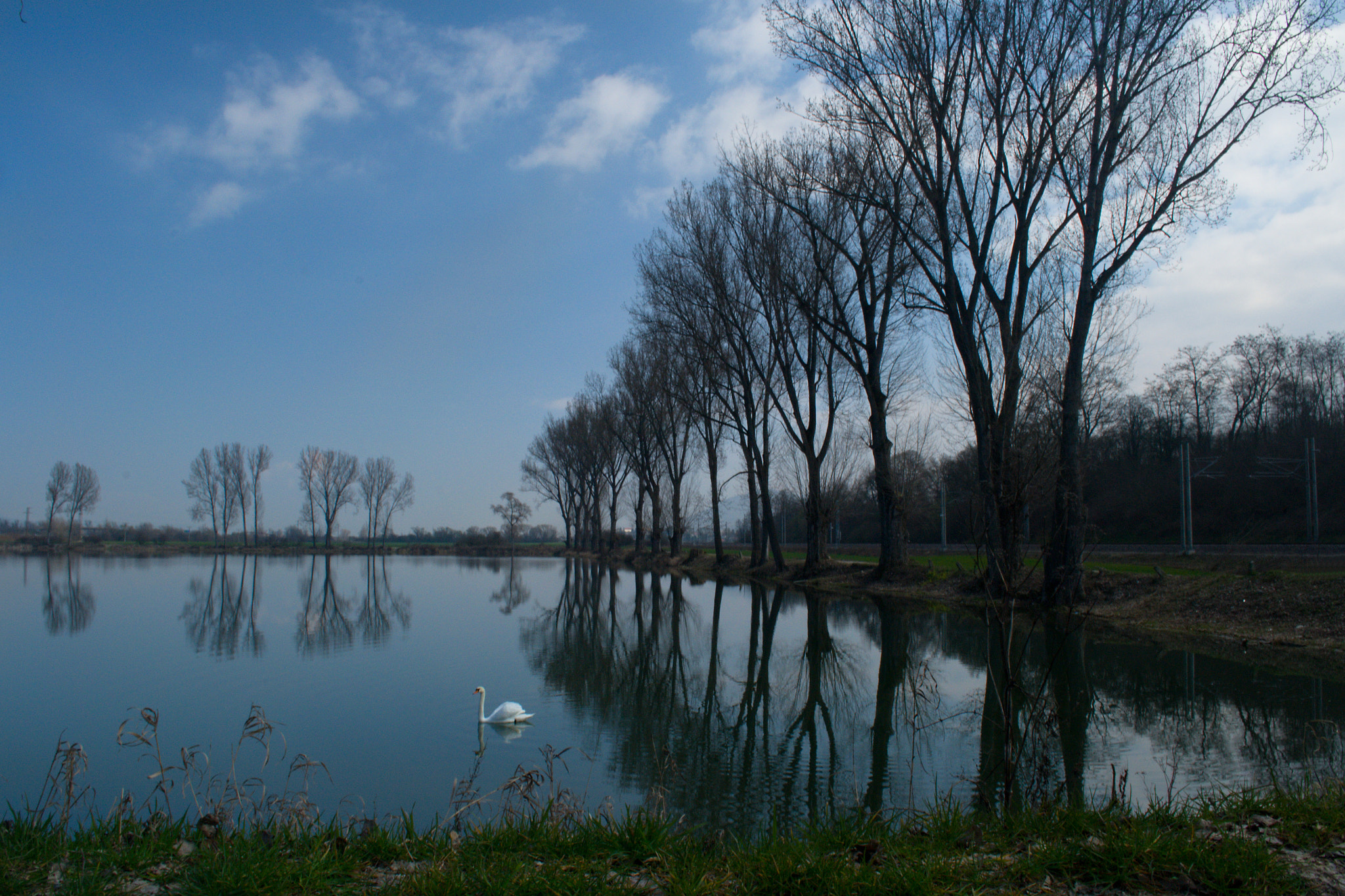 18.00 - 55.00 mm f/3.5 - 5.6 sample photo. Swan lake photography
