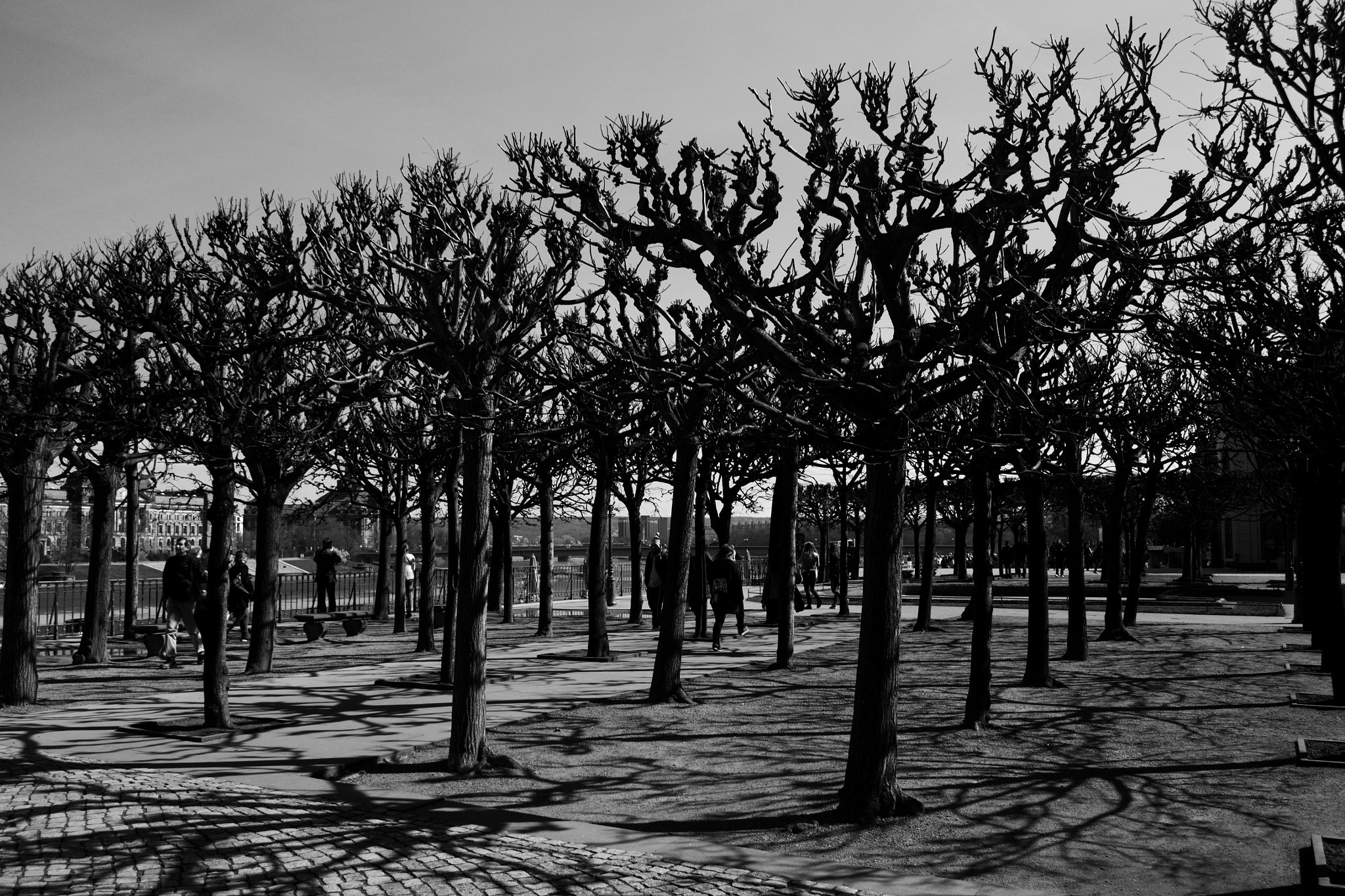 18.00 - 55.00 mm f/3.5 - 5.6 sample photo. Shadows photography