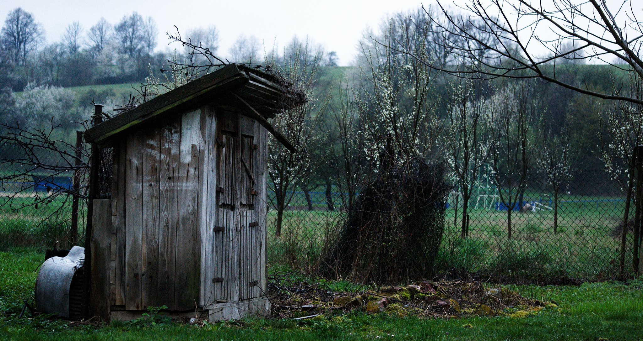55.00 - 300.00 mm f/4.5 - 5.6 sample photo. Forgotten photography