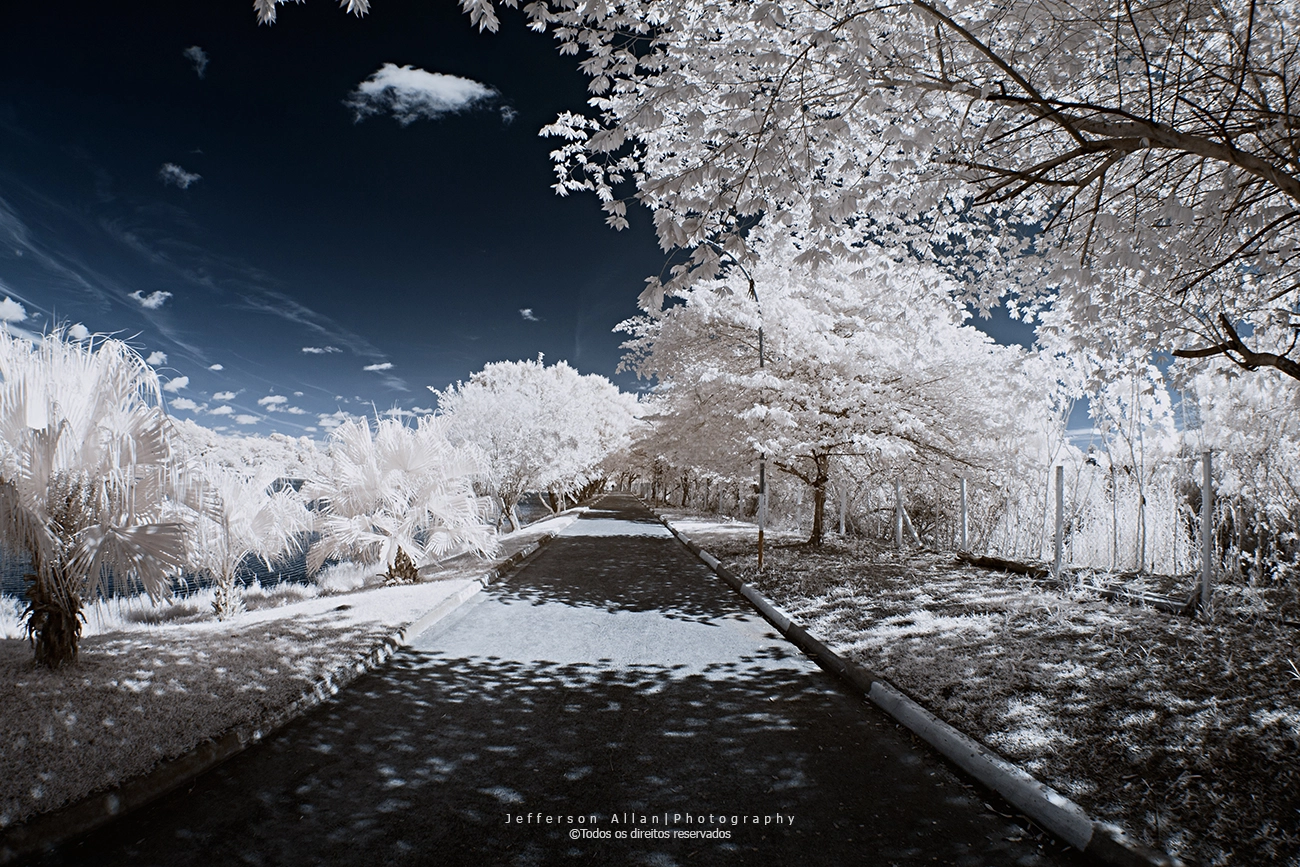 Canon EF 8-15mm F4L Fisheye USM sample photo. Infrared fisheye photography