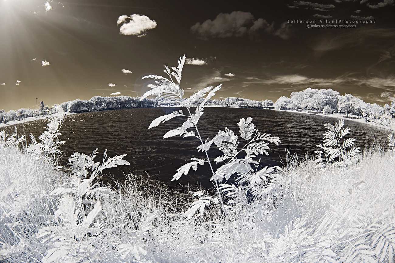 Canon EF 8-15mm F4L Fisheye USM sample photo. Infrared fisheye photography