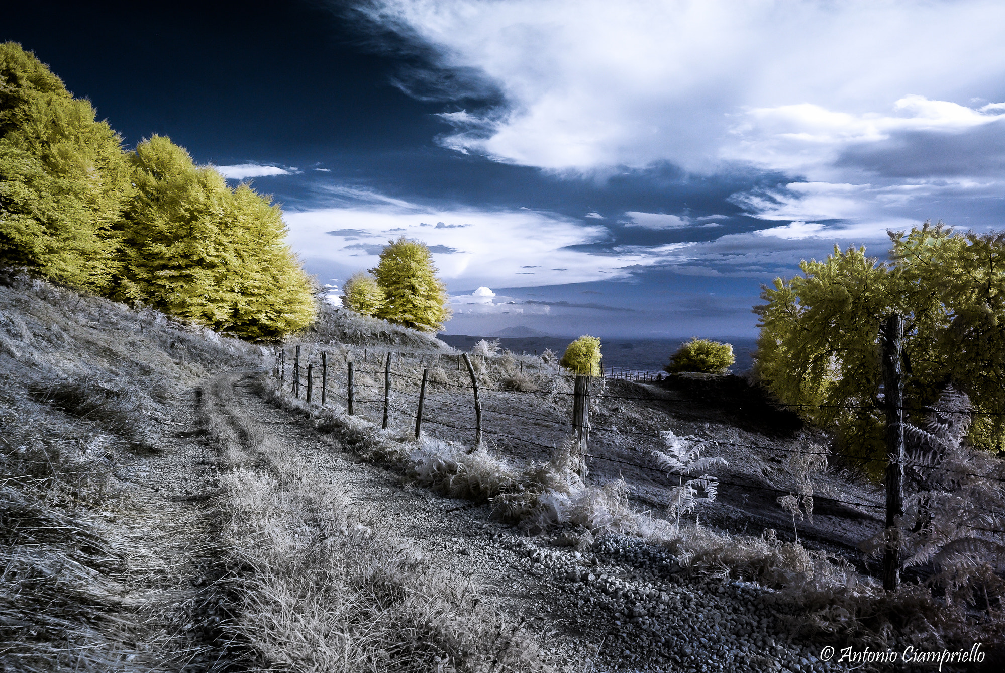 Samyang 14mm F2.8 ED AS IF UMC sample photo. Moon dust and gold - infrared photography