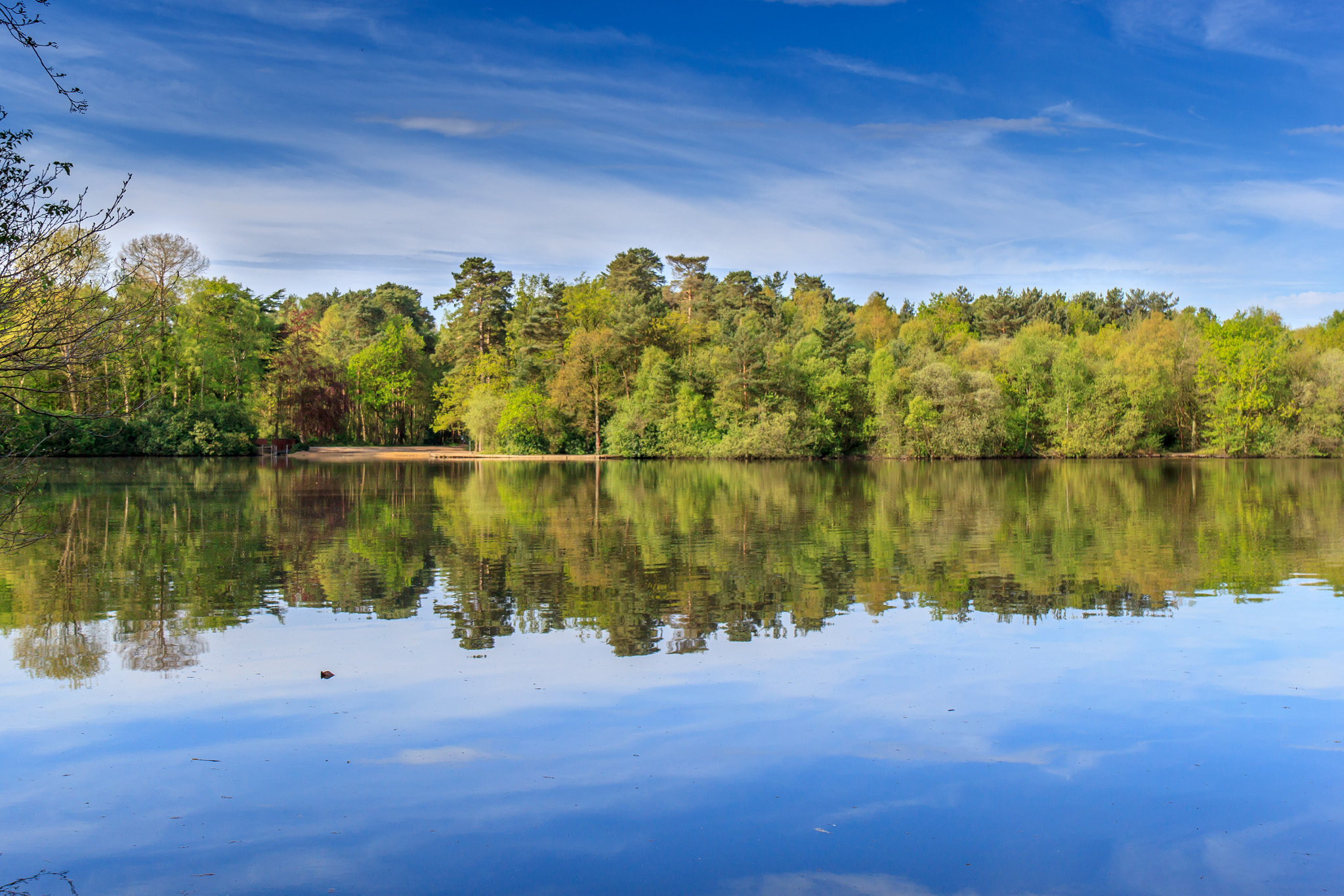 Canon EF 24-70mm F4L IS USM sample photo. Lake life photography