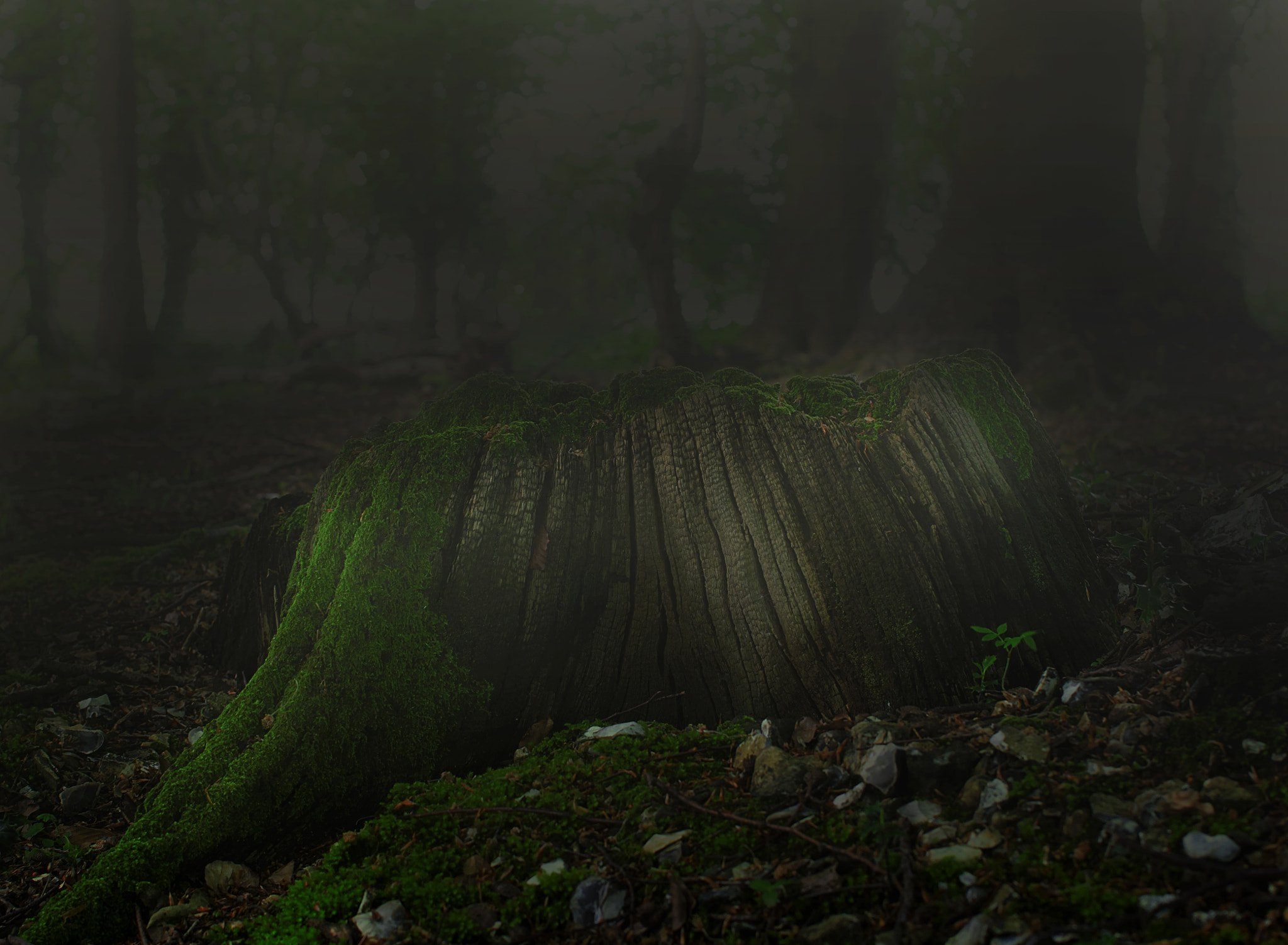 Panasonic Lumix DMC-GF6 + Sigma 30mm F2.8 DN Art sample photo. Moss covered tree stump photography