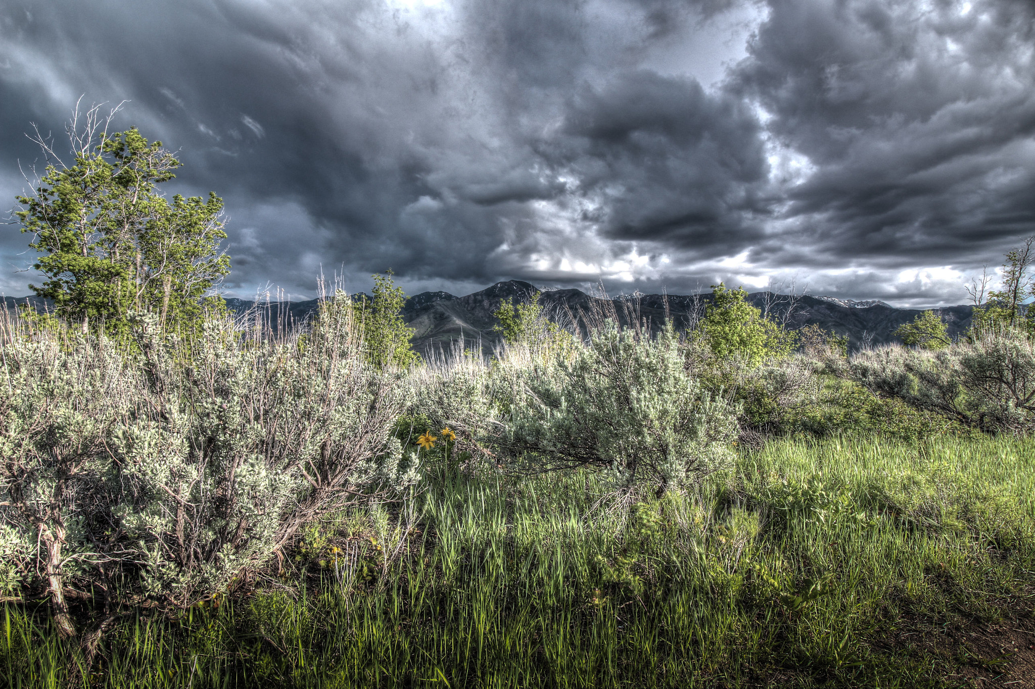 Canon EF-S 10-18mm F4.5–5.6 IS STM sample photo. Emigration canyon photography