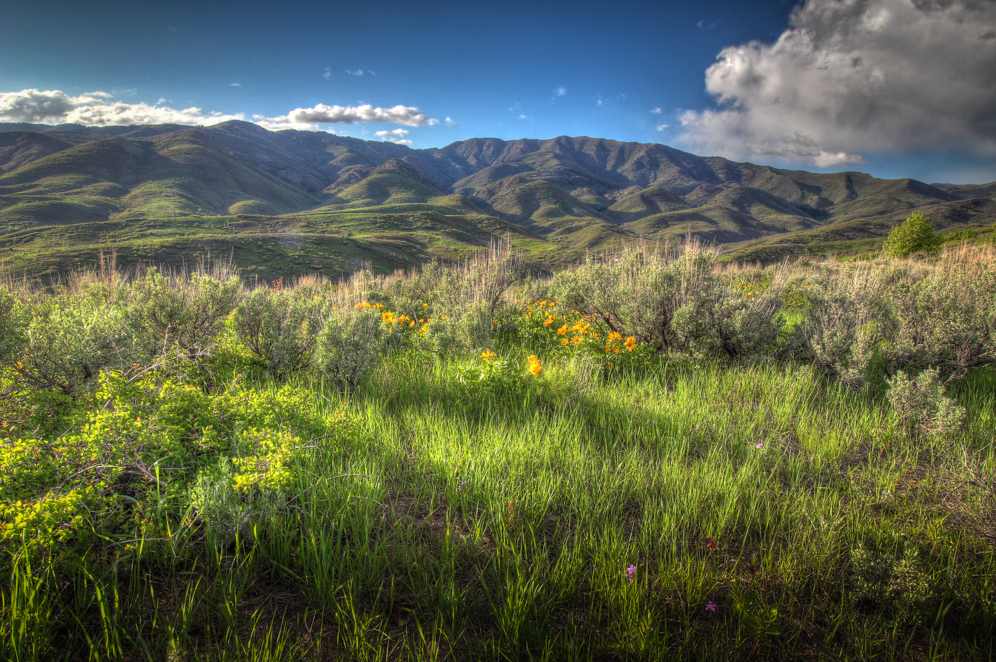 Canon EF-S 10-18mm F4.5–5.6 IS STM sample photo. Emigration canyon photography