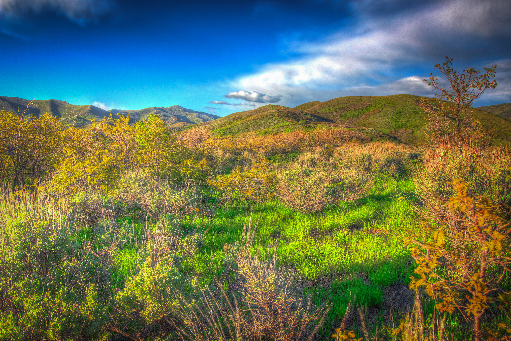 Canon EF-S 10-18mm F4.5–5.6 IS STM sample photo. Emigration canyon photography