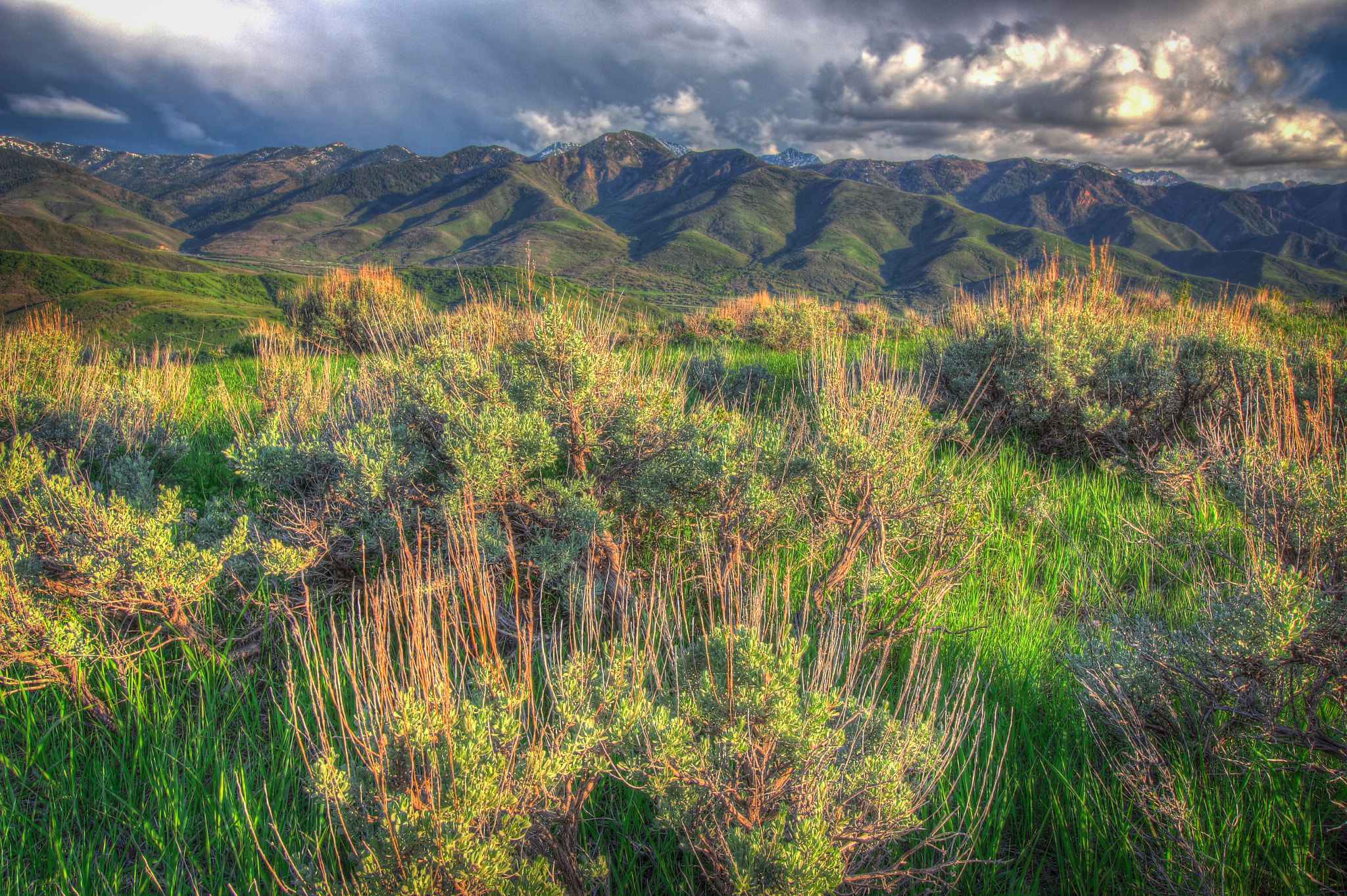 Canon EF-S 10-18mm F4.5–5.6 IS STM sample photo. Emigration canyon photography