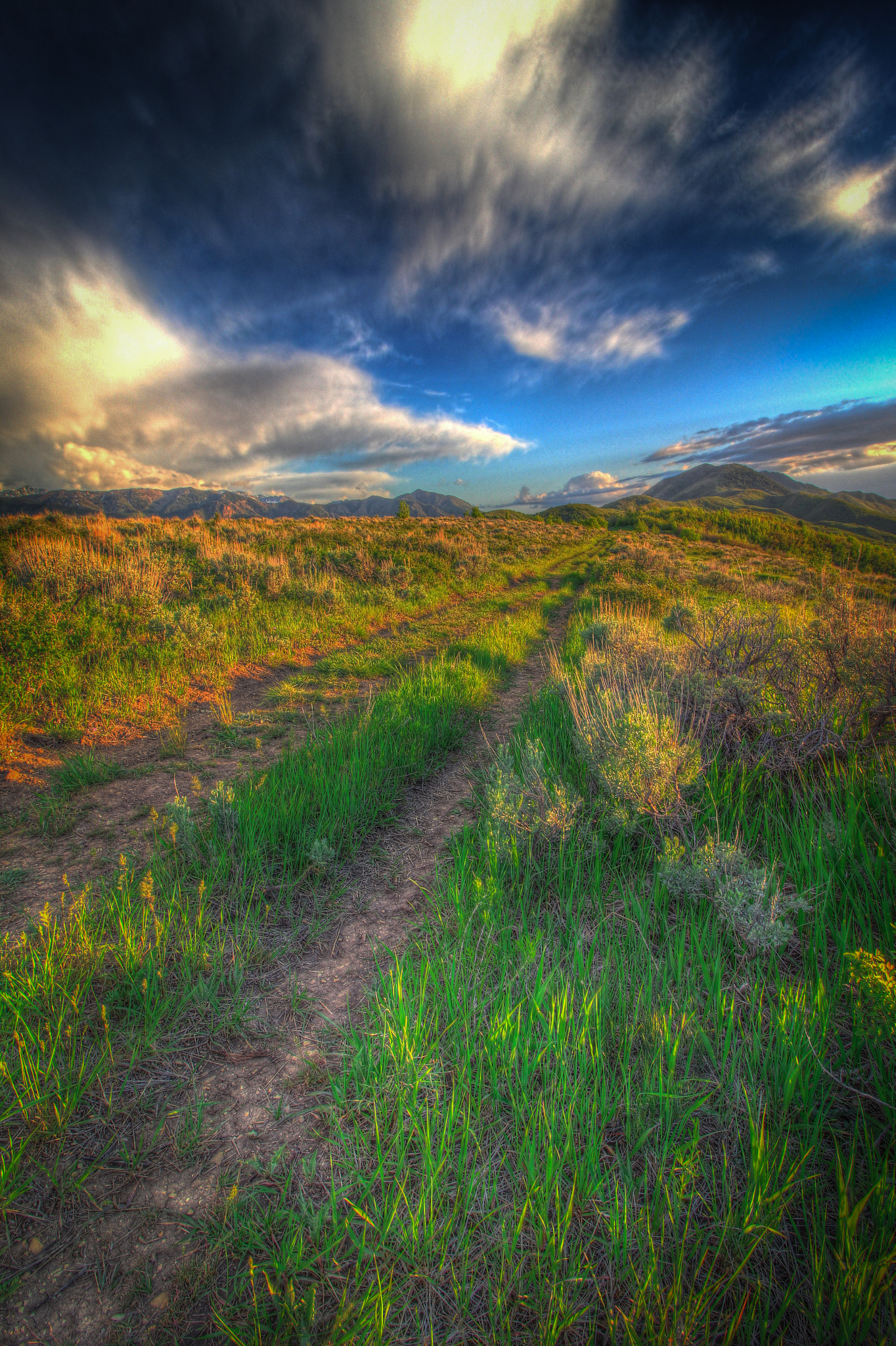 Canon EF-S 10-18mm F4.5–5.6 IS STM sample photo. Emigration canyon photography