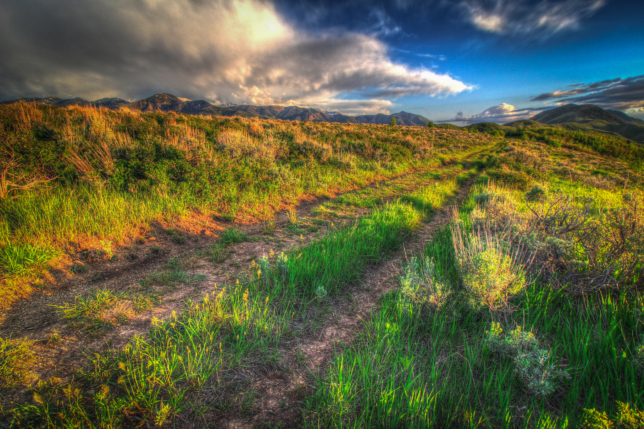 Canon EF-S 10-18mm F4.5–5.6 IS STM sample photo. Emigration canyon photography