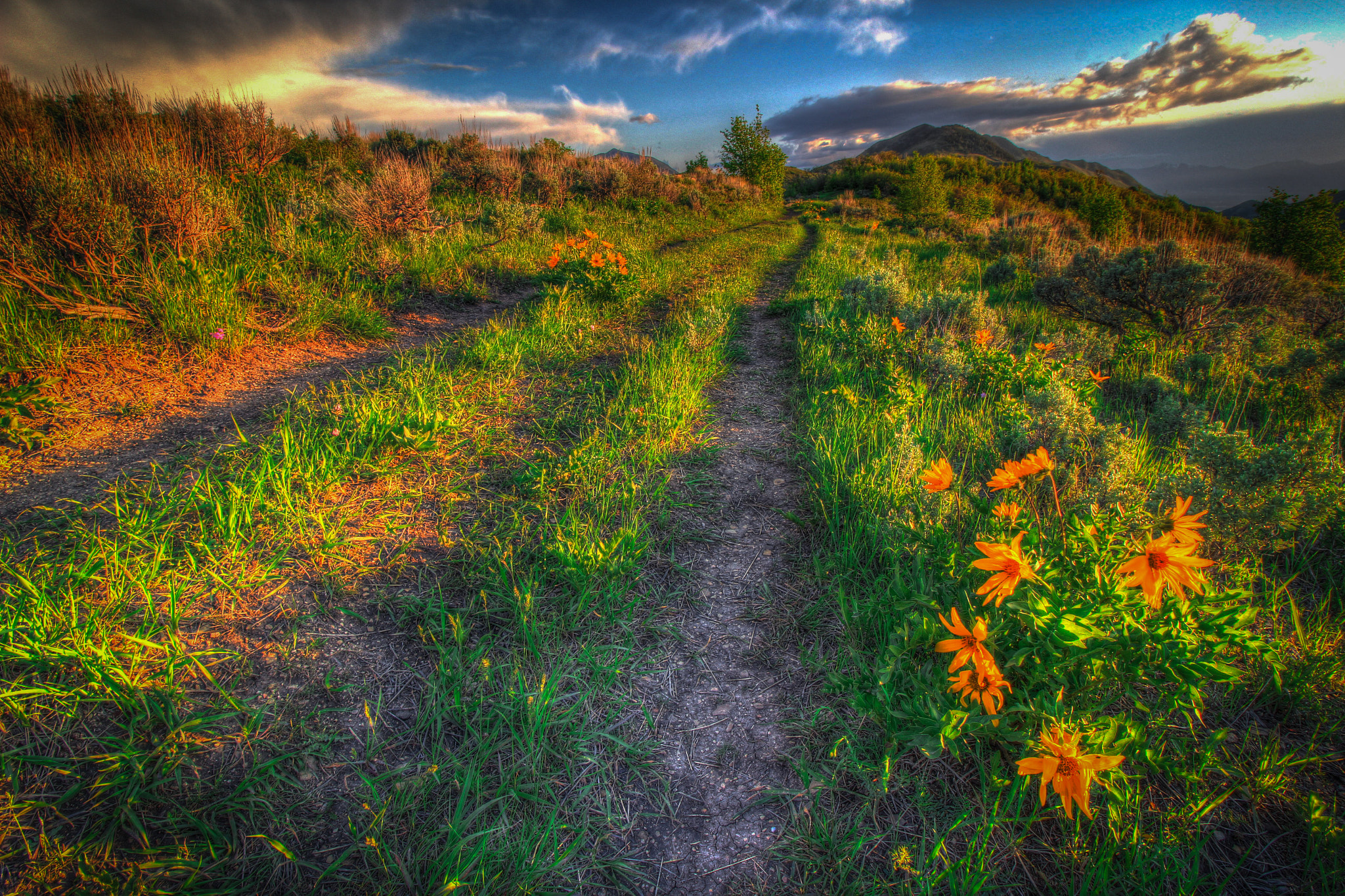 Canon EF-S 10-18mm F4.5–5.6 IS STM sample photo. Emigration canyon photography