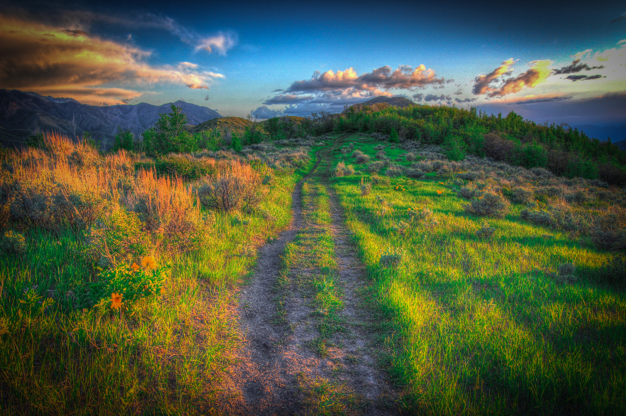Canon EF-S 10-18mm F4.5–5.6 IS STM sample photo. Emigration canyon photography