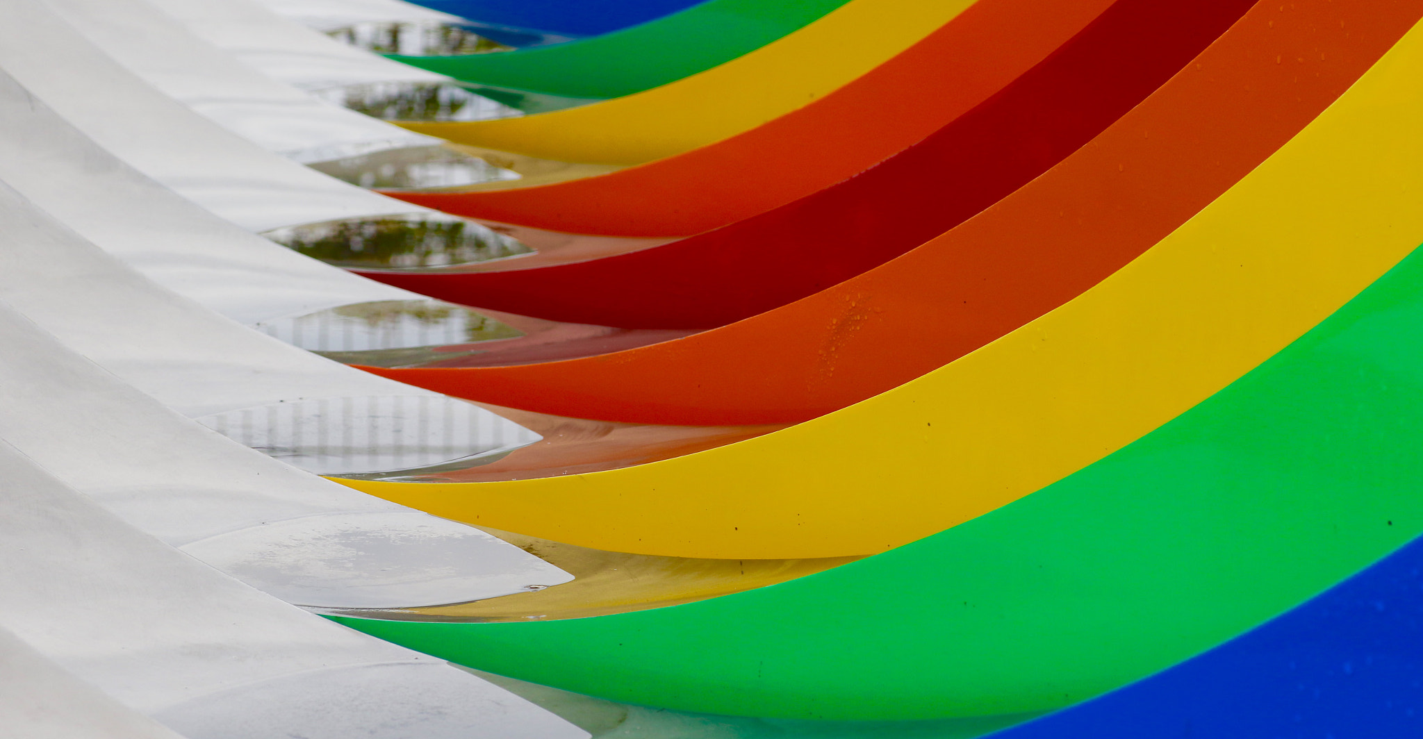 Canon 90mm sample photo. Colorful photography