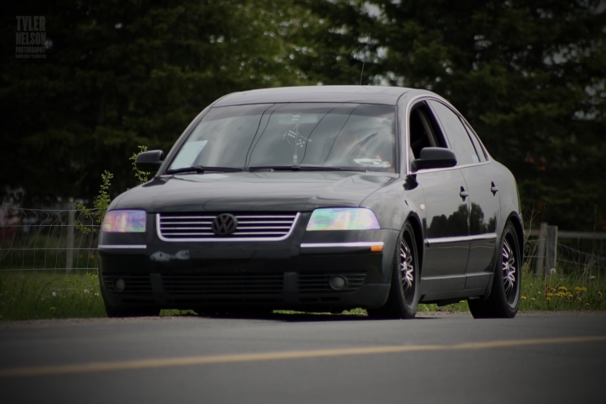 Canon EF 75-300mm f/4-5.6 USM sample photo. Bonus 5 photography