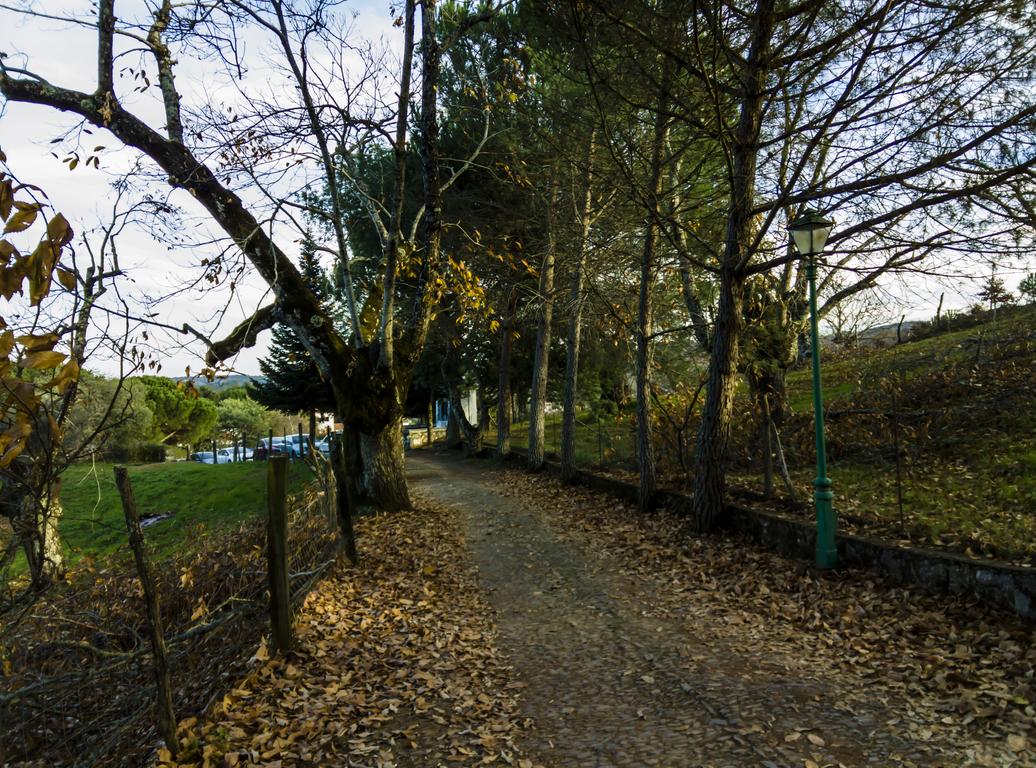 OnePlus One A0001 sample photo. Fuenteheridos photography
