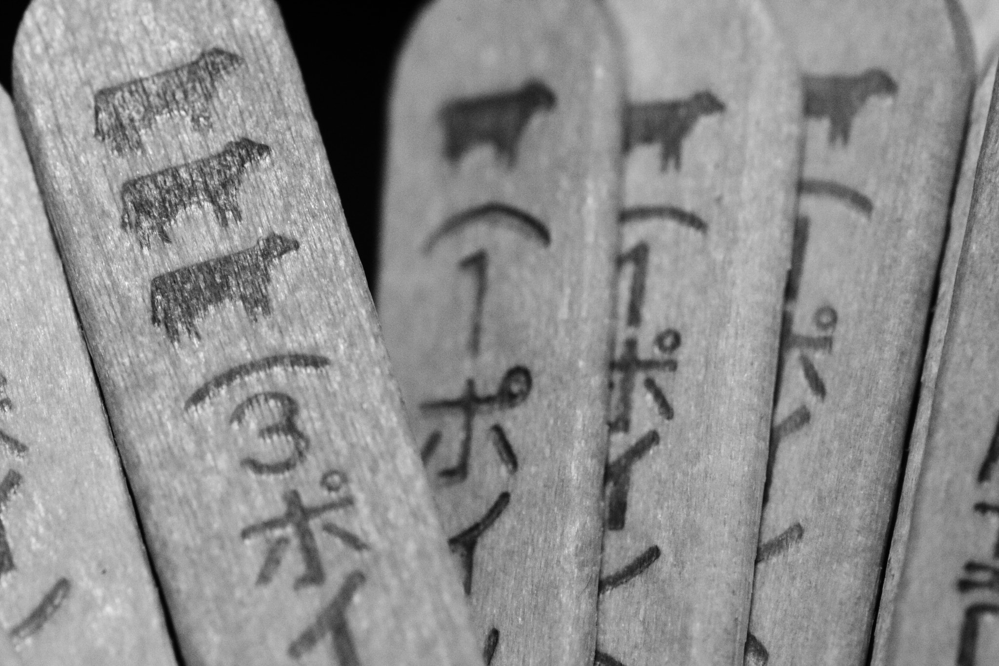 Tamron SP AF 90mm F2.8 Di Macro sample photo. スティック photography
