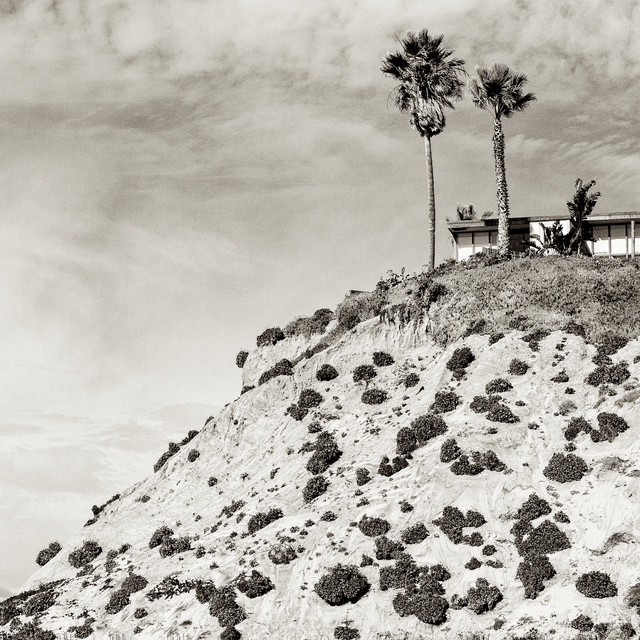 Olympus PEN E-P3 sample photo. House and two palms trees on a cliff photography