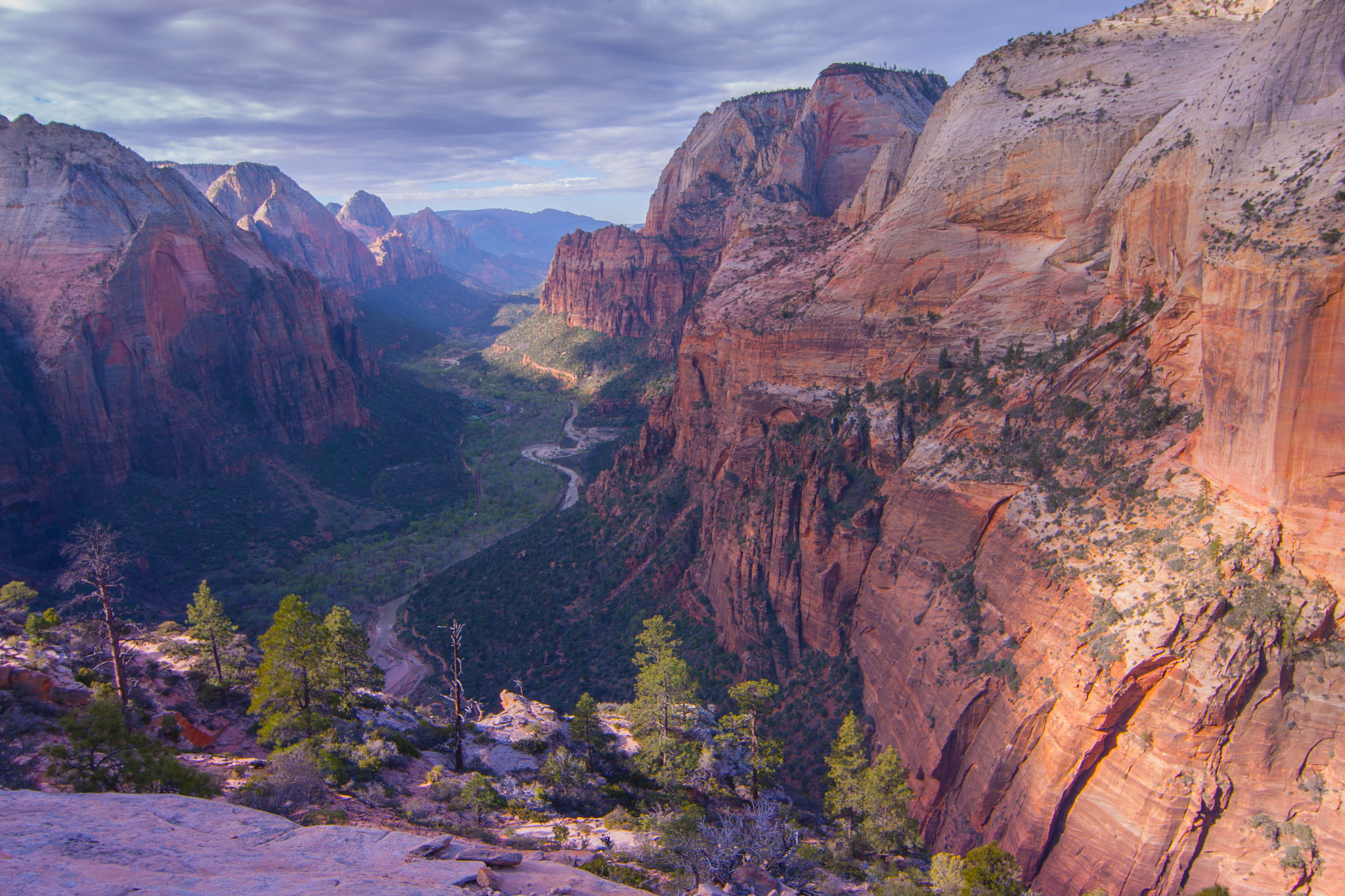 Canon EF 14mm F2.8L II USM sample photo. Zion national park photography