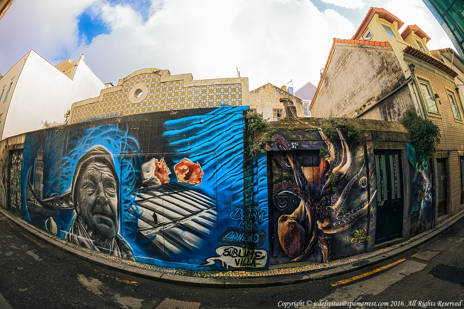 Canon EF 8-15mm F4L Fisheye USM sample photo. Aveiro photography
