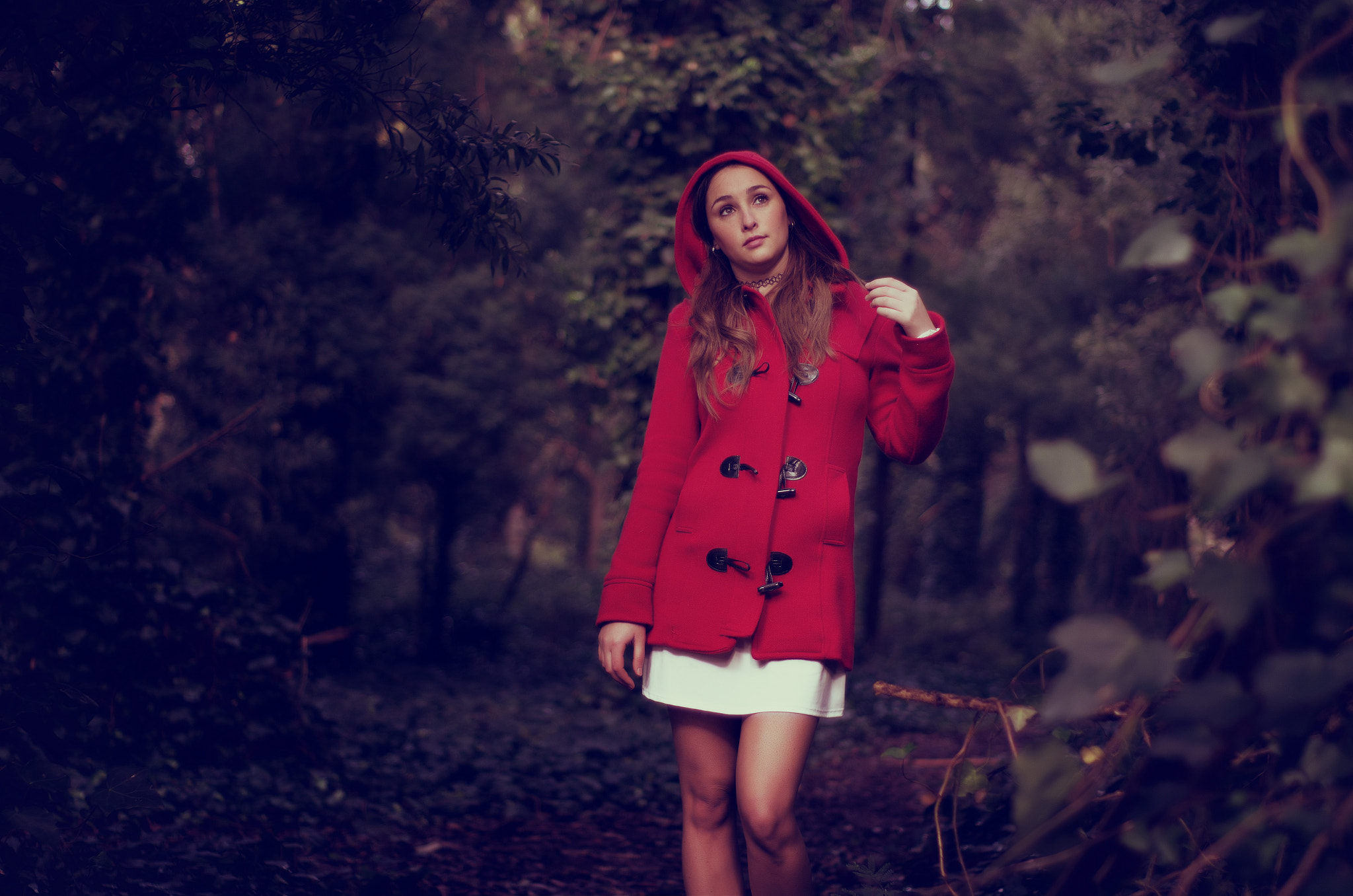 smc PENTAX-FA 50mm F1.7 sample photo. Little red riding hood photography