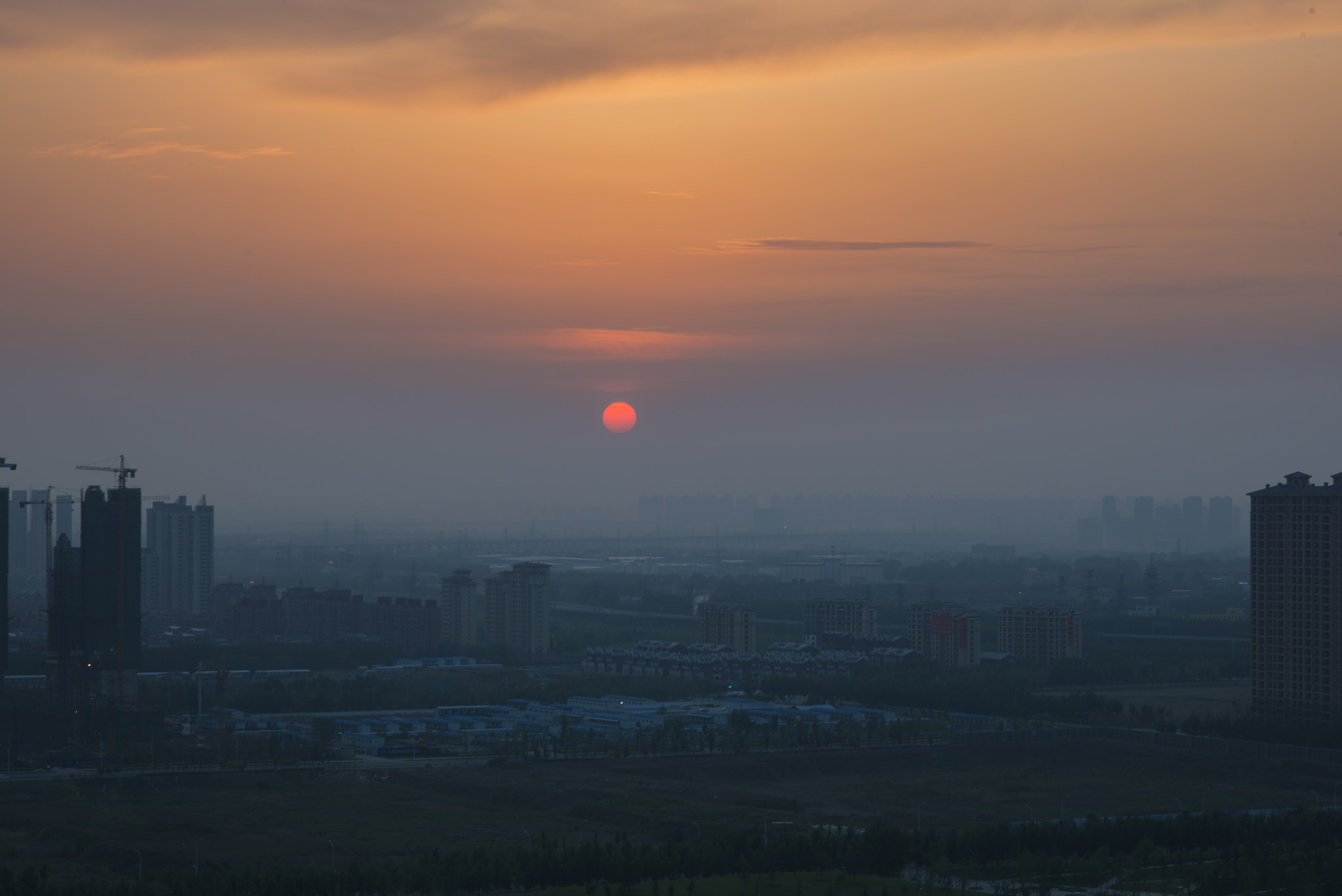 ZEISS Makro-Planar T* 100mm F2 sample photo