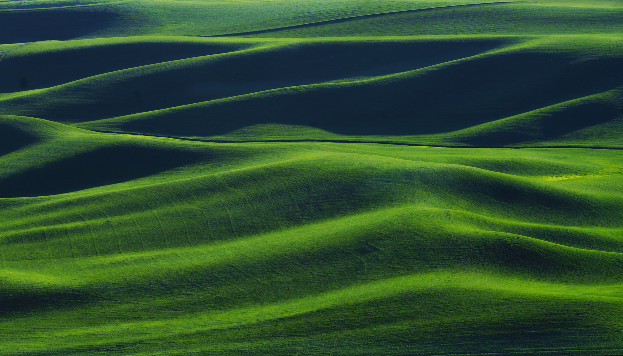 Canon EF 100-400mm F4.5-5.6L IS II USM sample photo. Mezmorizing palouse photography