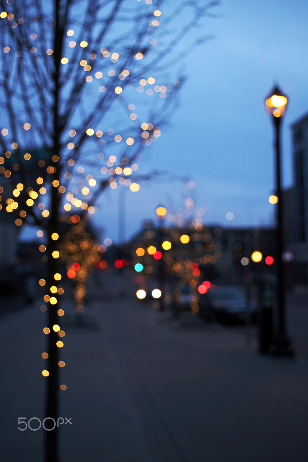 Canon EF 28-80mm f/3.5-5.6 sample photo. Twinkle lights photography