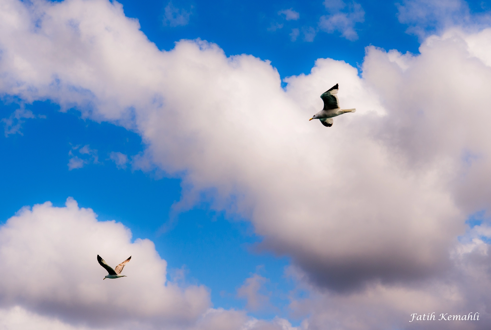 Nikon AF-S Nikkor 24-70mm F2.8E ED VR sample photo. Sky love photography