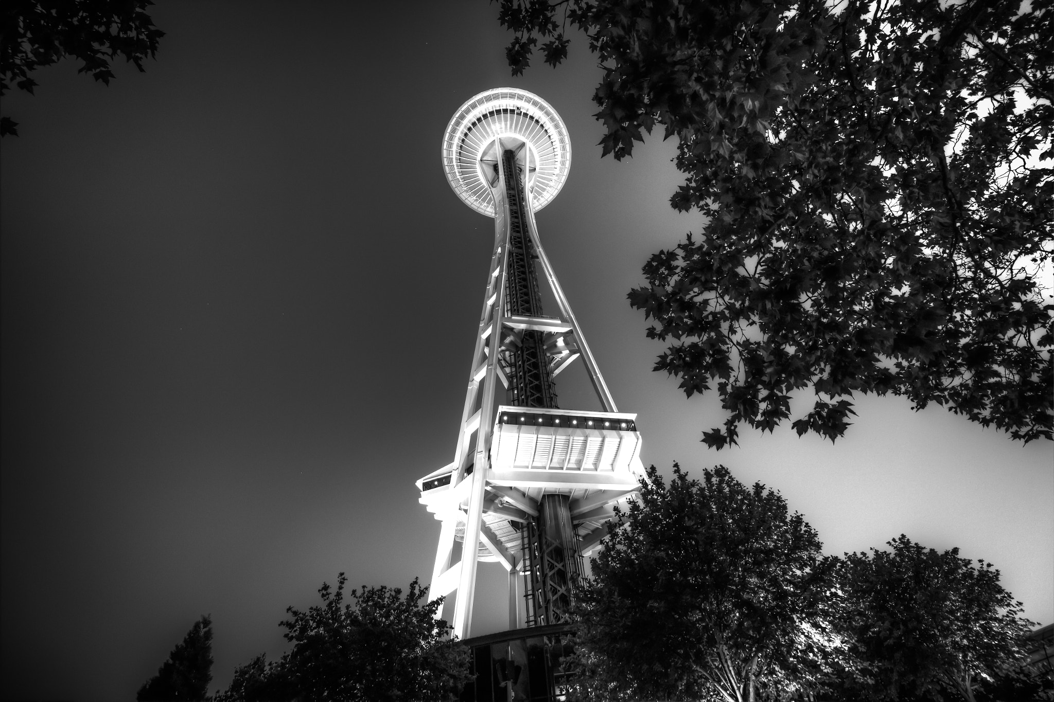 Canon EF-S 10-18mm F4.5–5.6 IS STM sample photo. Needle photography