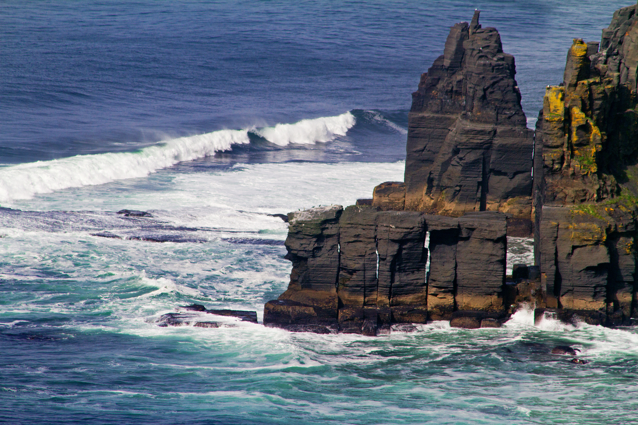 Canon EF 75-300mm F4.0-5.6 IS USM sample photo