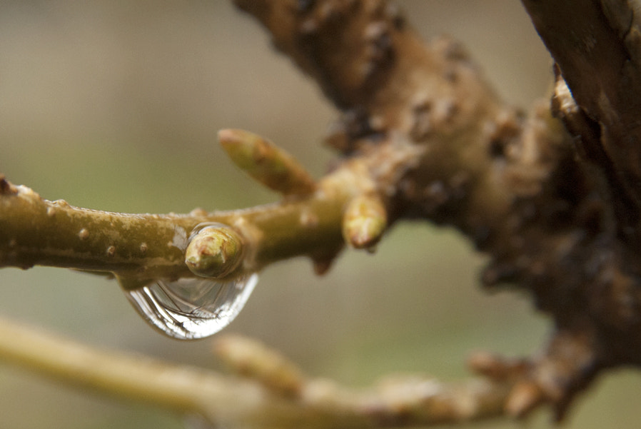 AF Zoom-Nikkor 28-105mm f/3.5-4.5D IF sample photo. Agua photography