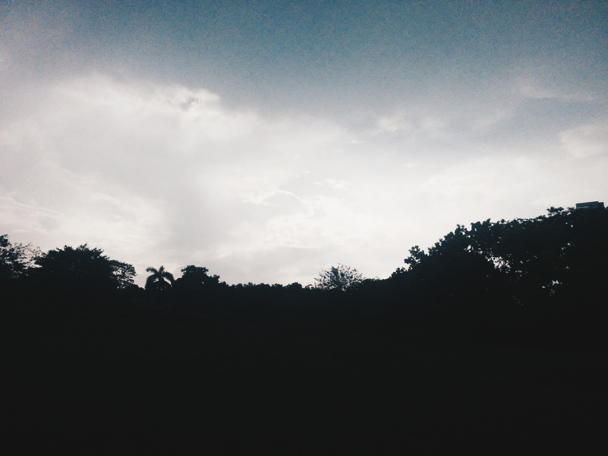 LG G2 MINI sample photo