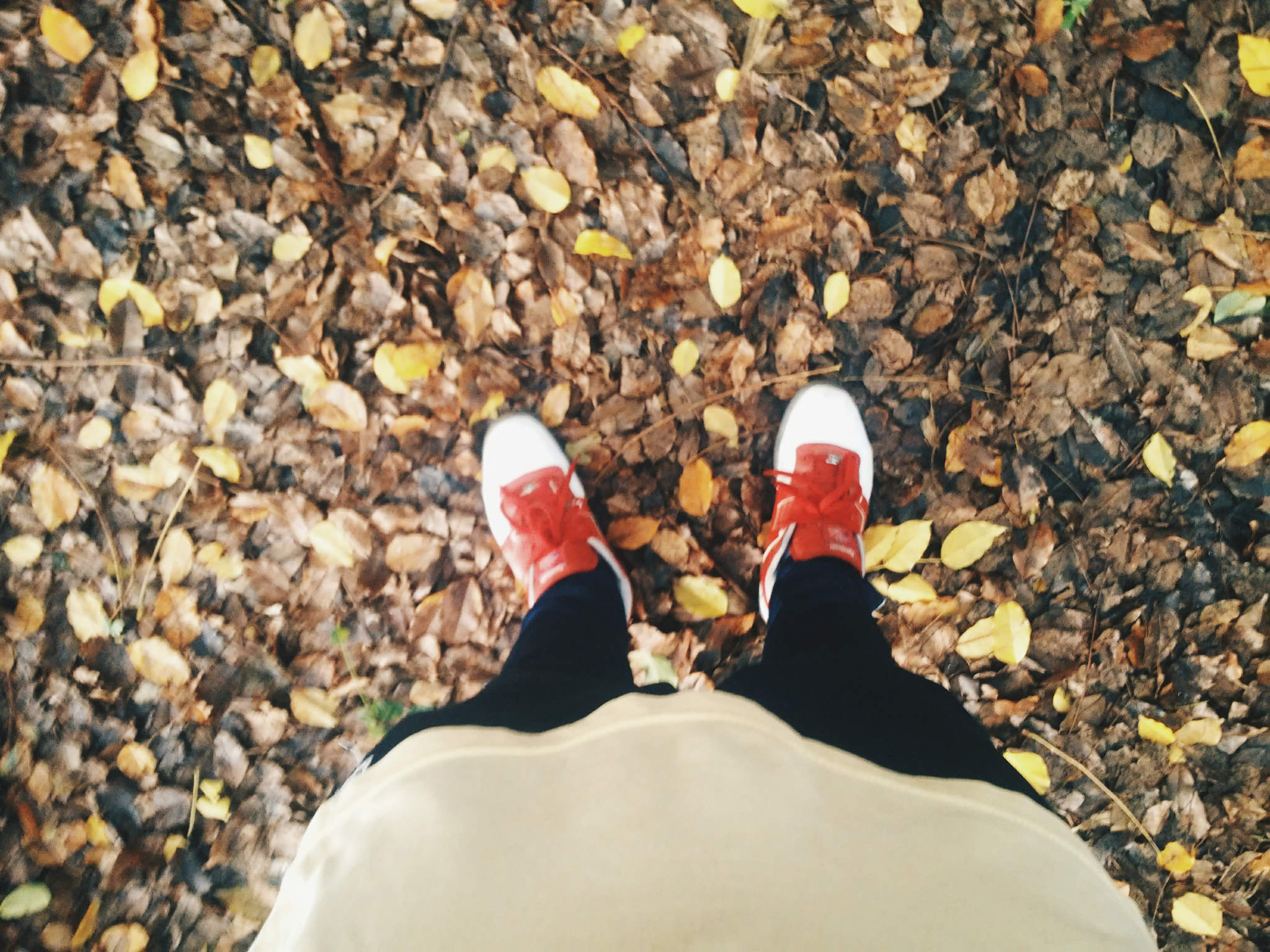 LG G2 MINI sample photo