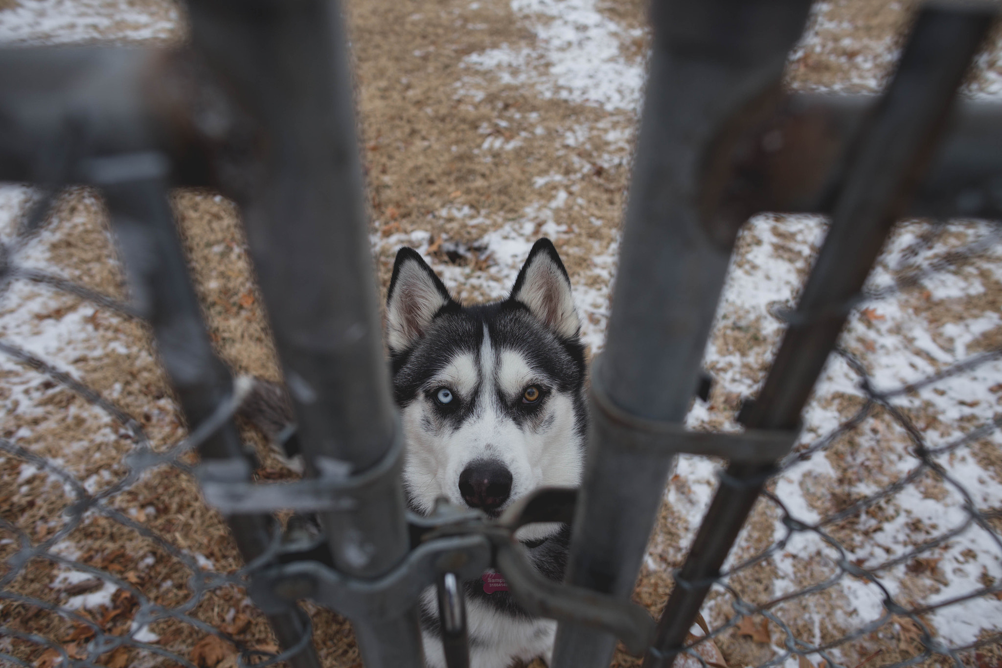 Canon EOS 6D + Canon EF 24mm f/1.4L sample photo. Sampson photography