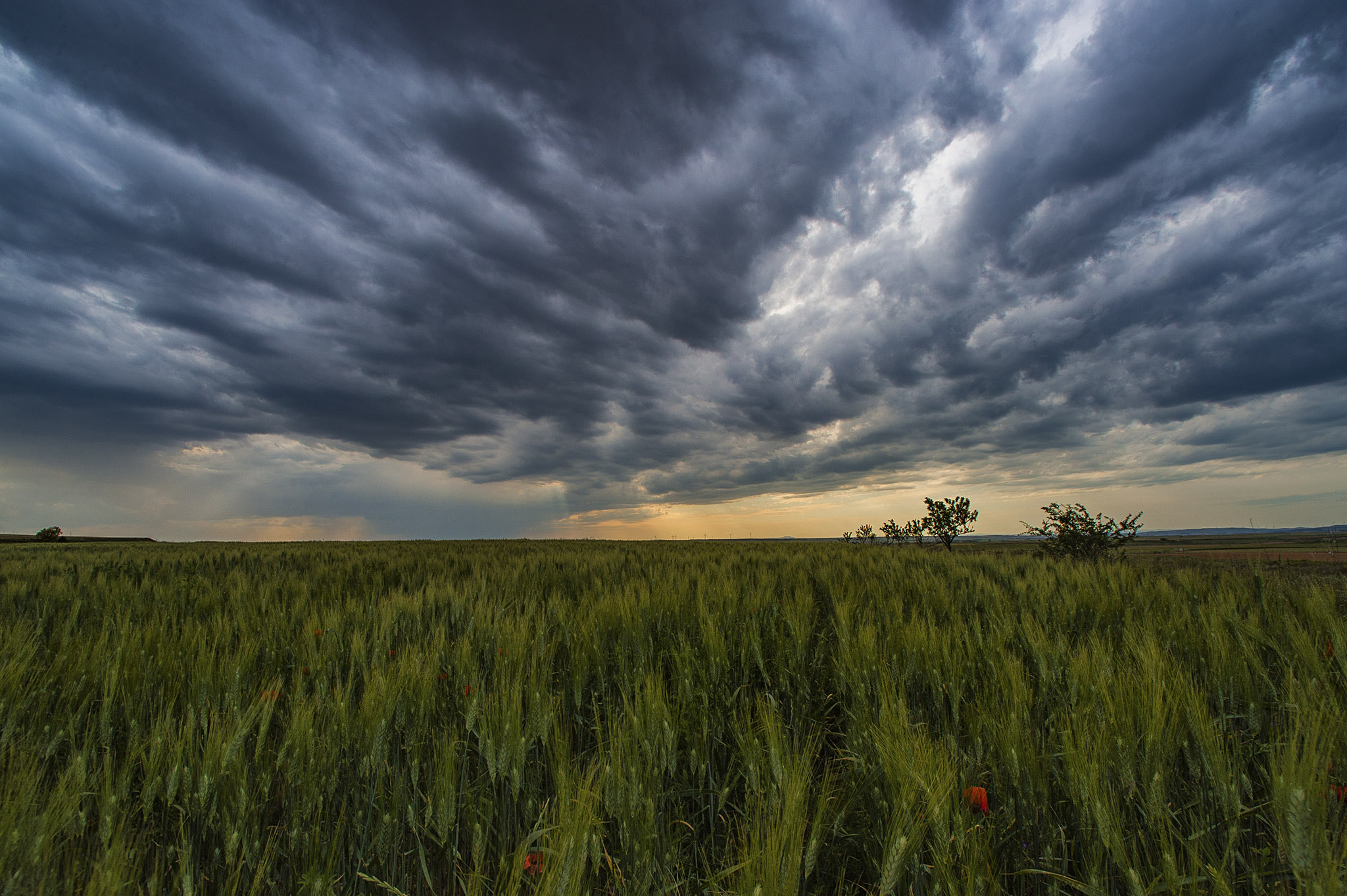 Nikon D4S + Nikon AF Nikkor 14mm F2.8D ED sample photo. ... se acerca la tormenta ... photography