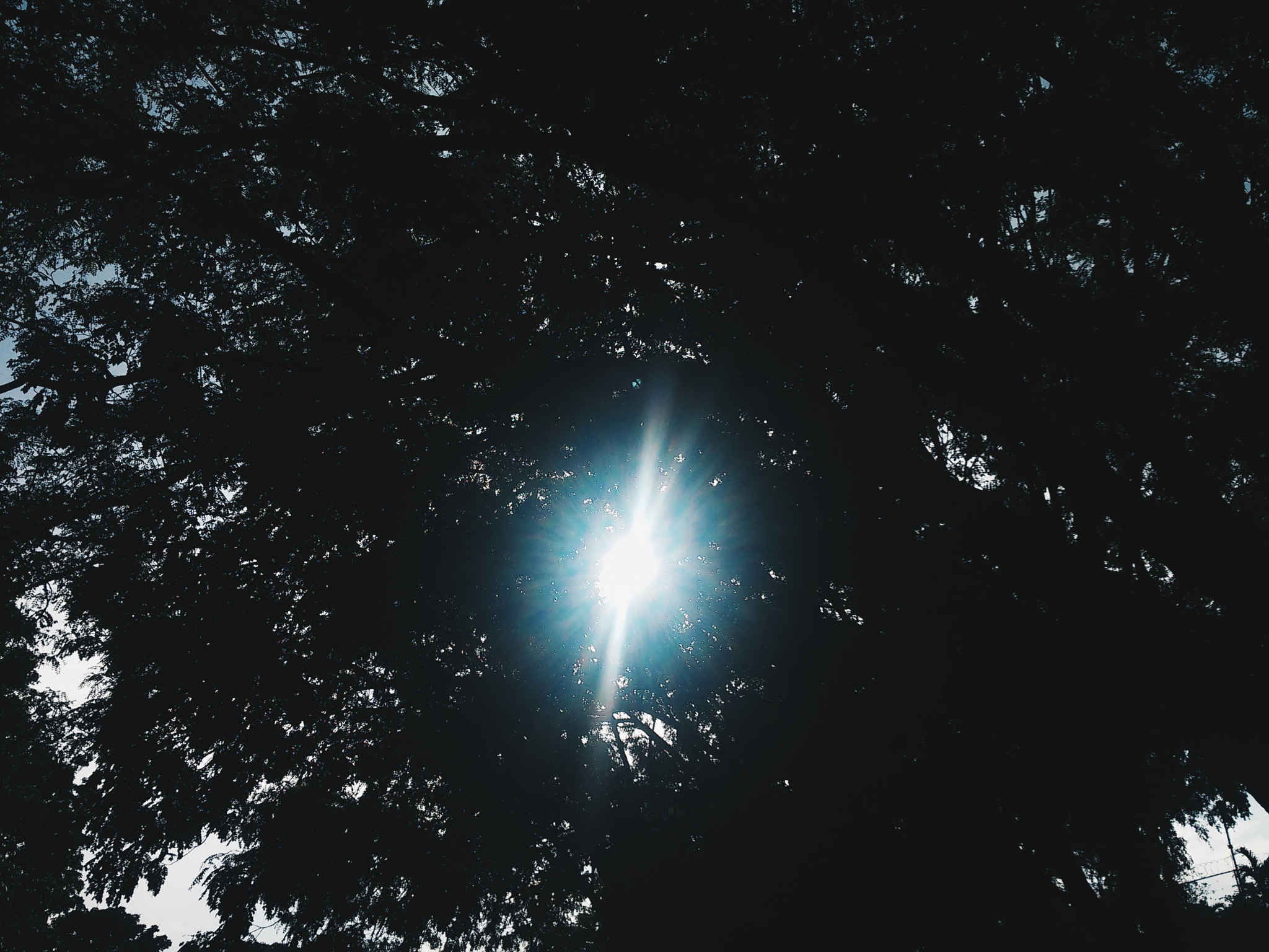 LG G2 MINI sample photo