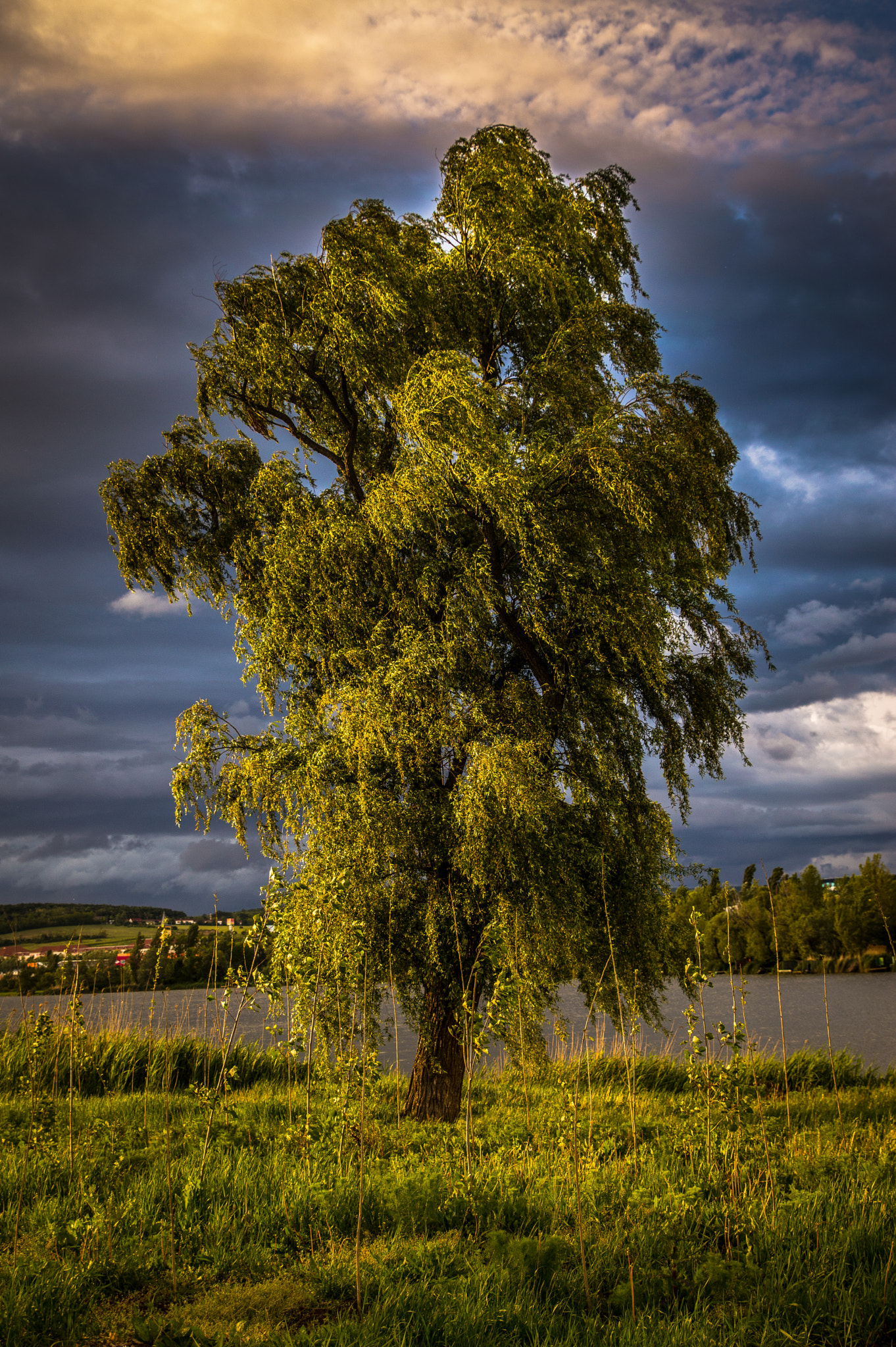Tamron SP 24-70mm F2.8 Di VC USD sample photo. Alone in the storm photography