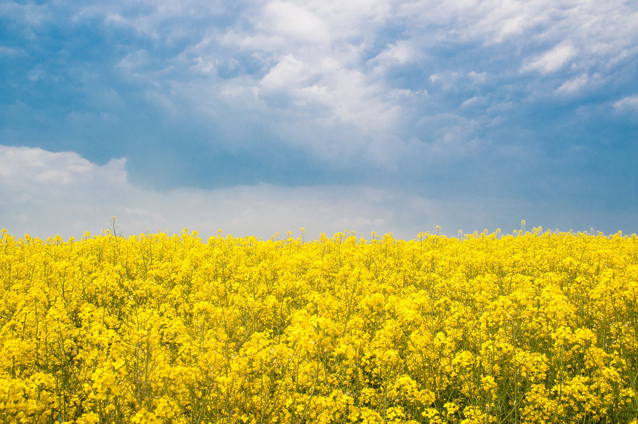 Nikon D700 + AF Zoom-Nikkor 35-105mm f/3.5-4.5 sample photo. Poland photography