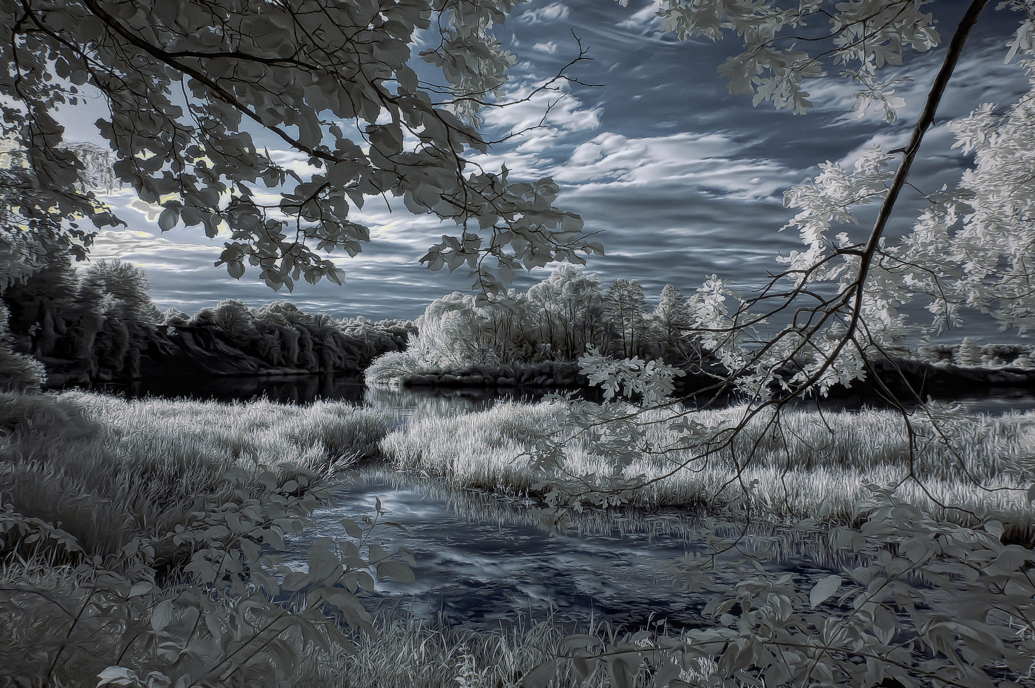 Nikon D50 sample photo. Ir () photography