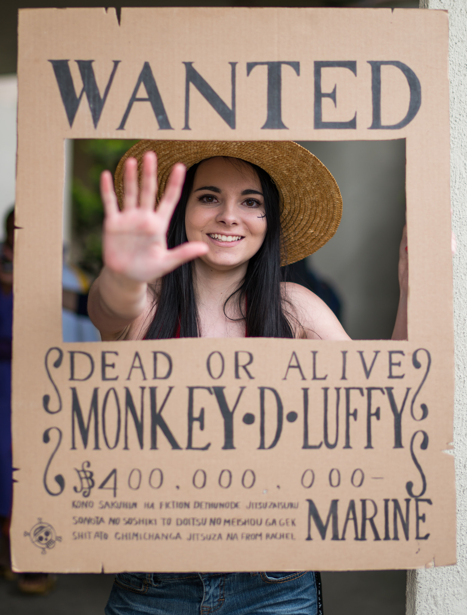 Sony Planar T* 50mm F1.4 ZA SSM sample photo. Luffy wanted poster photography