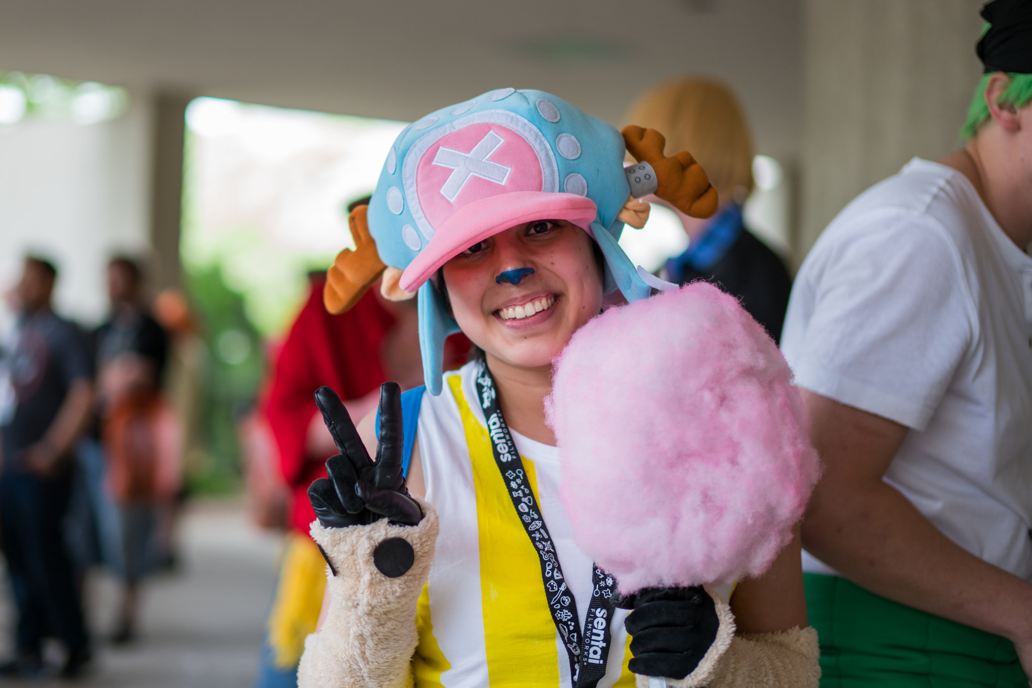 Sony Planar T* 50mm F1.4 ZA SSM sample photo. Tony tony chopper with cotton candy photography