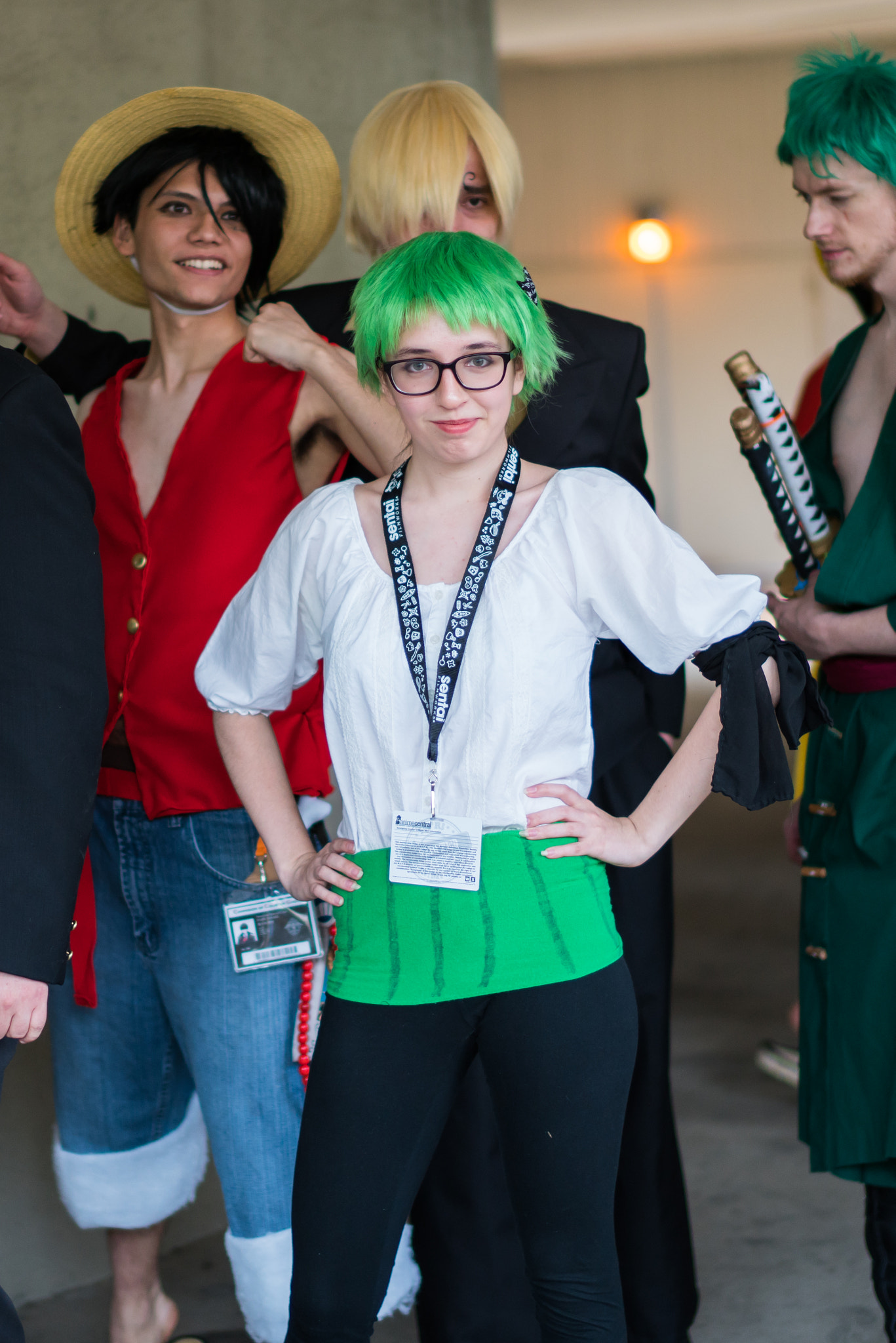 Sony Planar T* 50mm F1.4 ZA SSM sample photo. Rononoa zoro photography