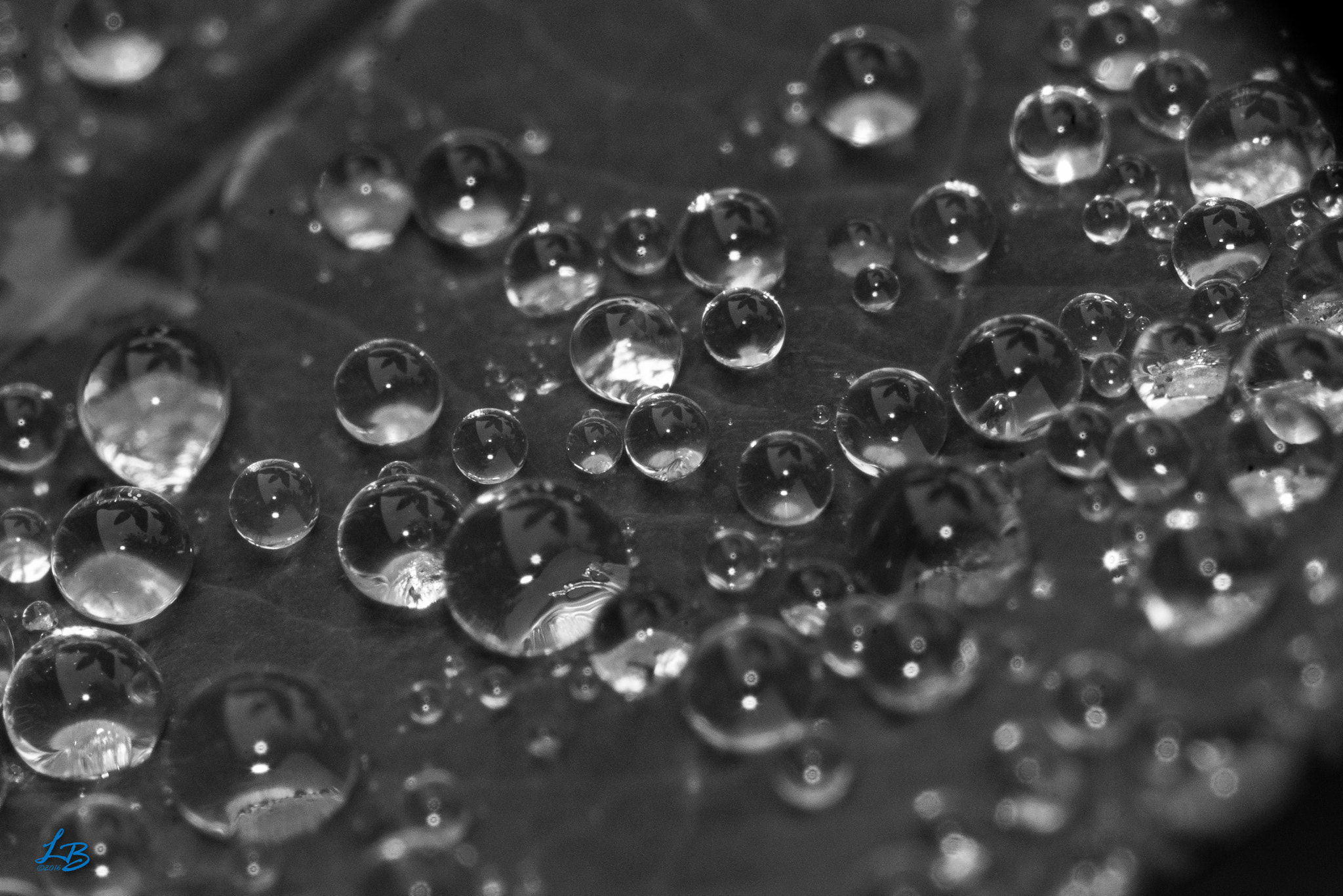 Sigma 105mm F2.8 EX DG Macro sample photo. Searching for the future? photography